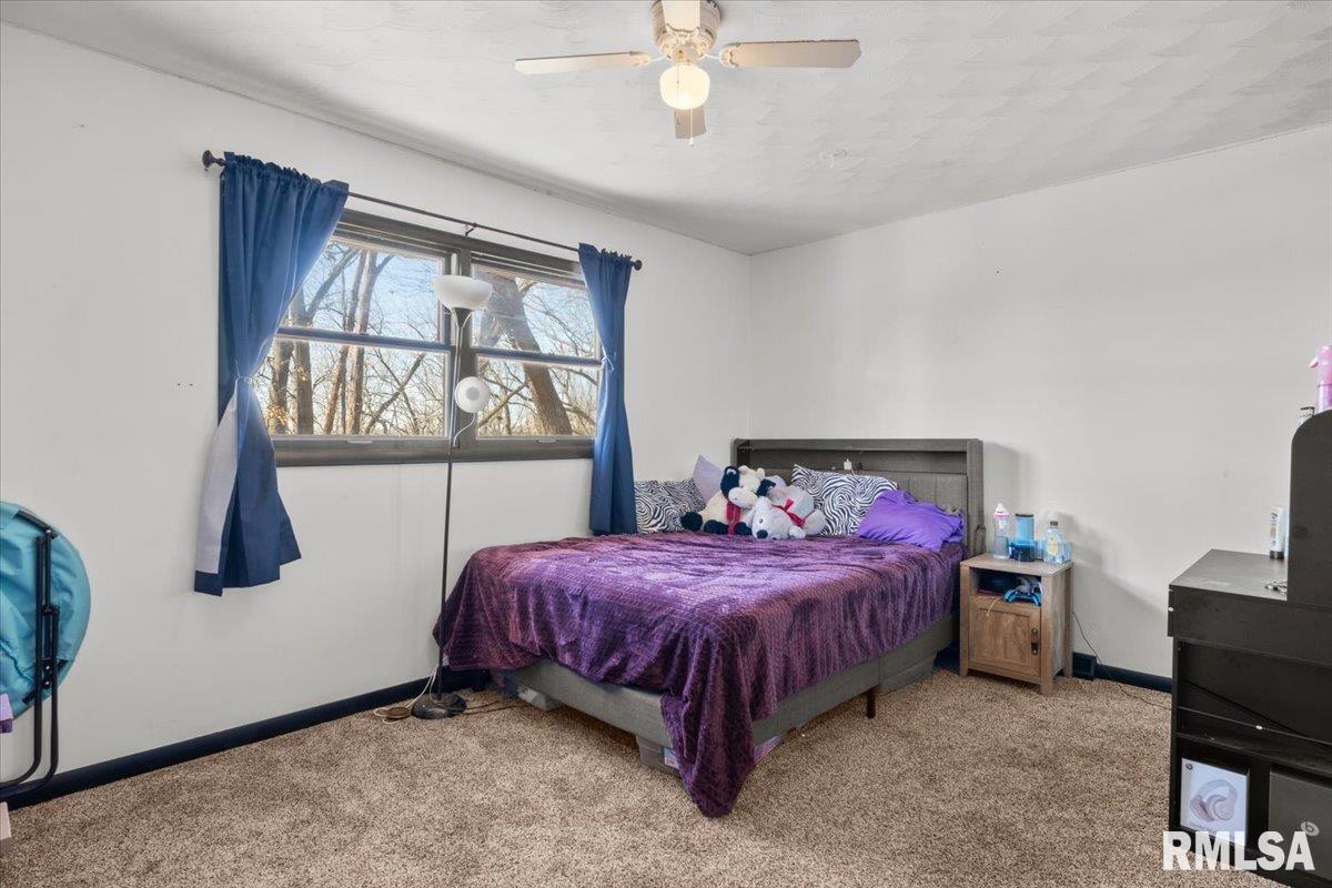112 Hillcrest Drive, Geneseo, Illinois image 21