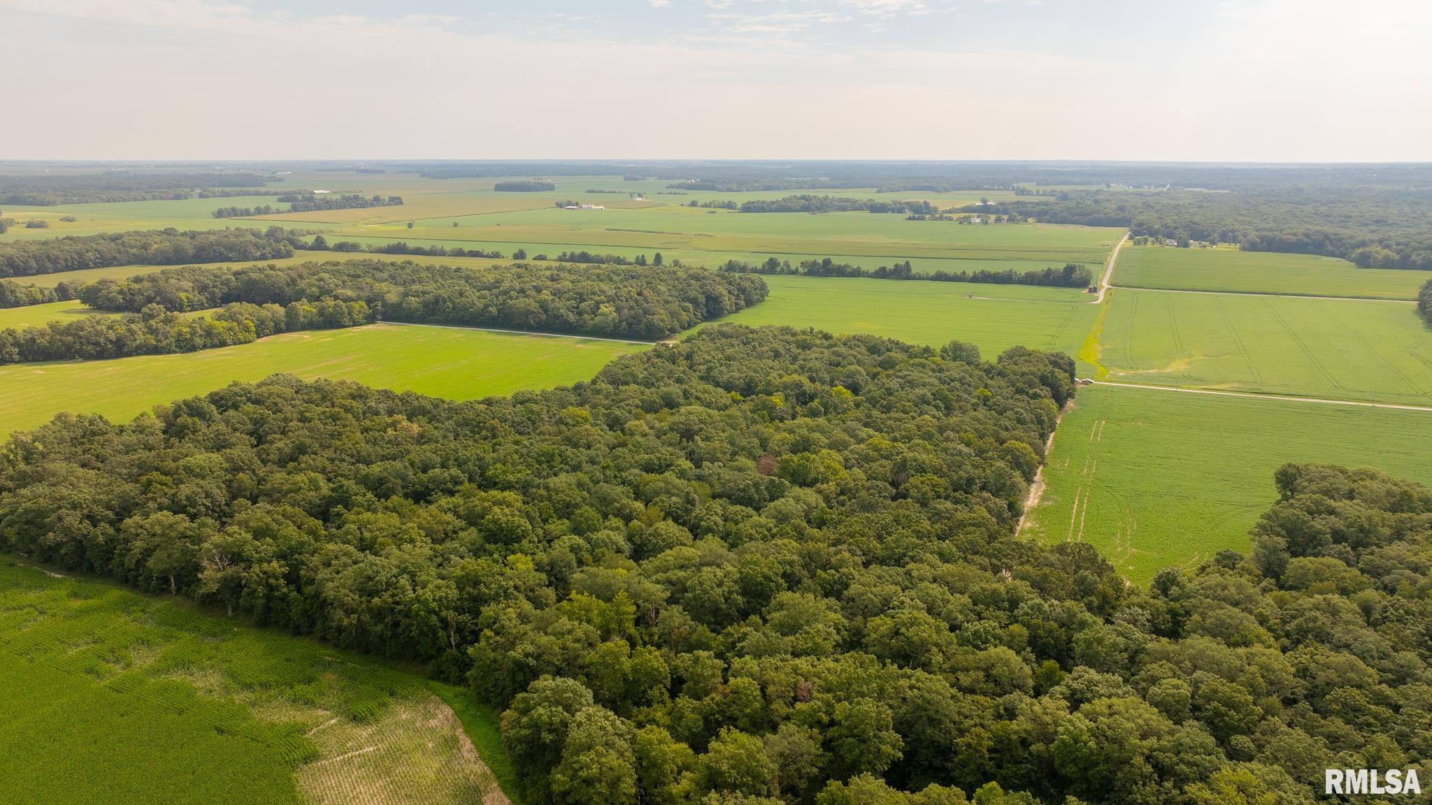 8411 Brimberry Road, Alma, Illinois image 4