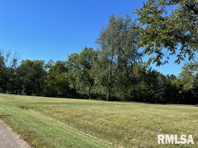 Lot #1 North Lakeview Road, Dahinda, Illinois image 1