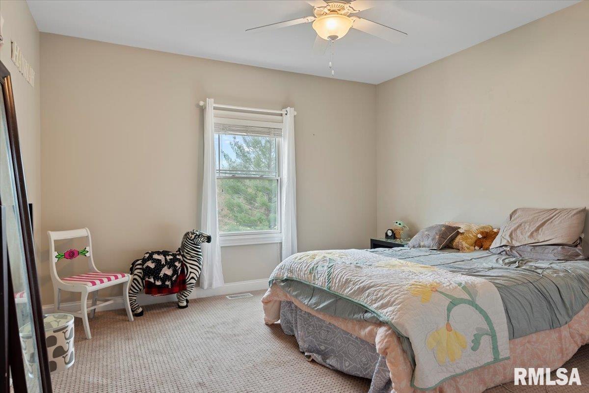 480 Oxley Drive, Springfield, Illinois image 25