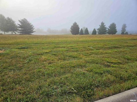 Vacant Land For Sale - 1019 Harmon Lane<br/> Metamora, IL 61548