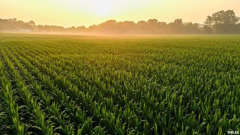 Vacant Land For Sale - 001 State Route 100<br/> Browning, IL 62624