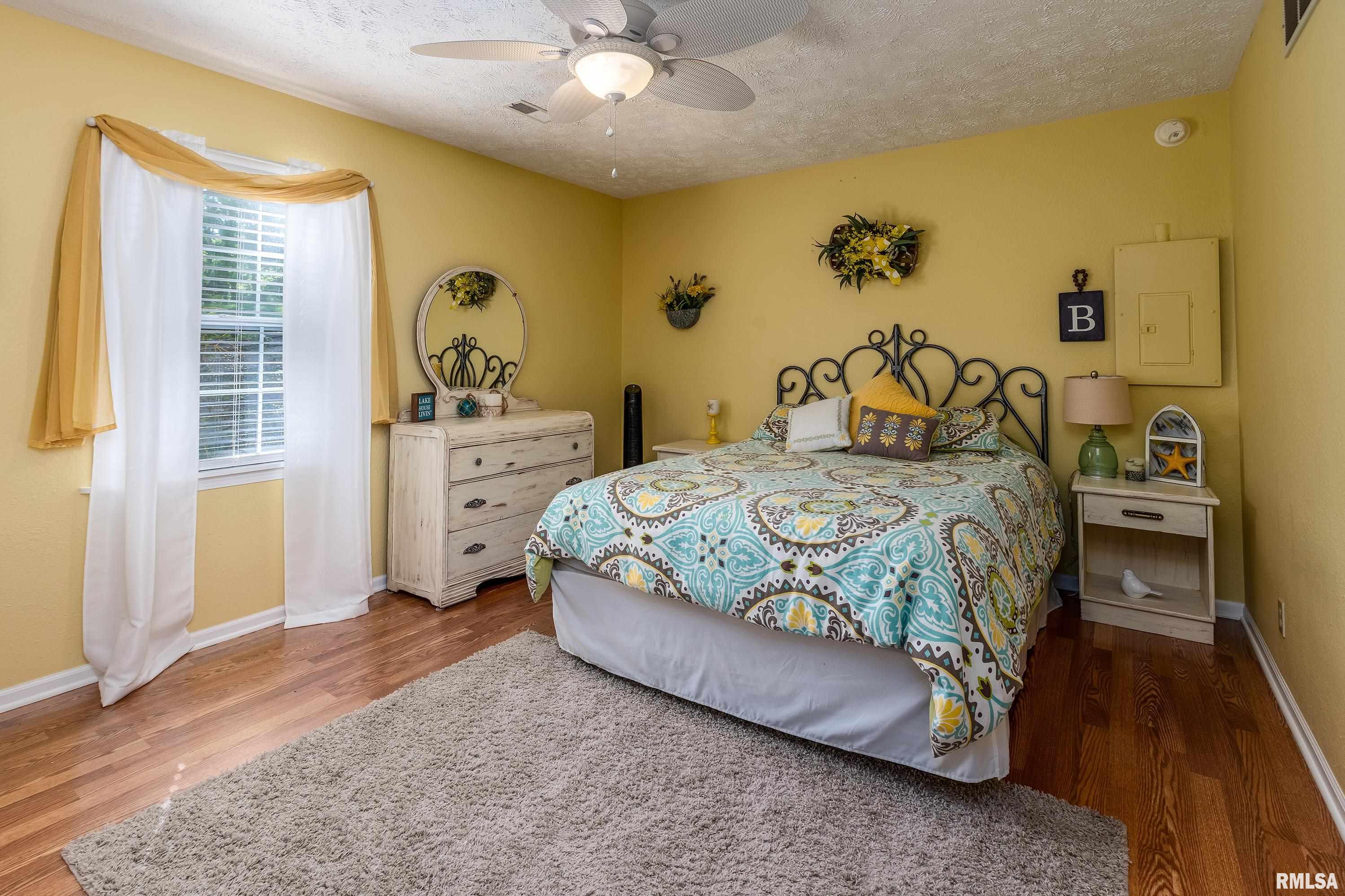 385 S Lakeshore Drive, Goreville, Illinois image 16