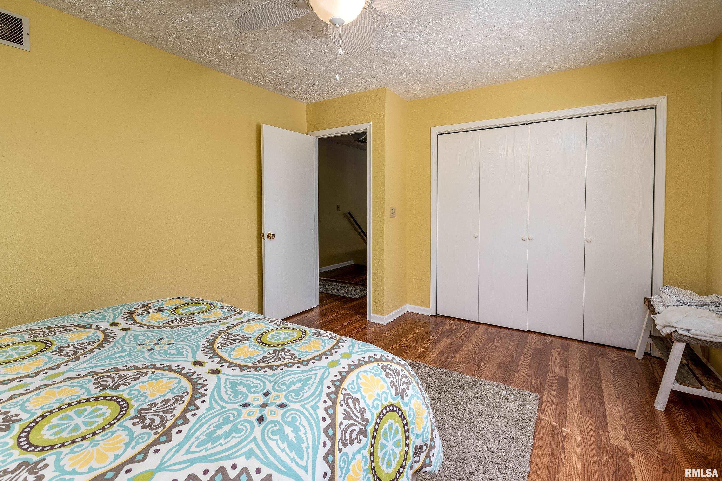 385 S Lakeshore Drive, Goreville, Illinois image 17