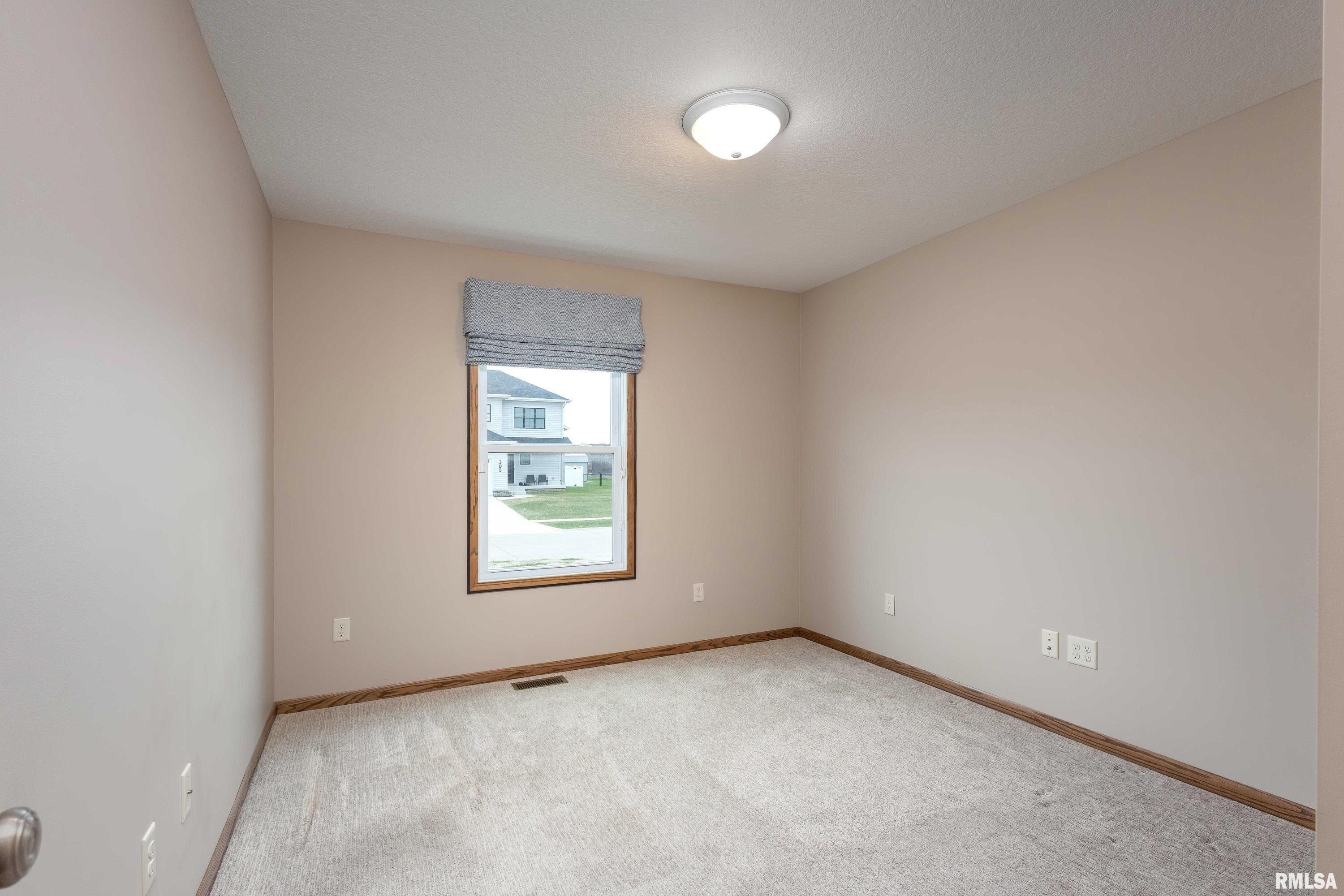 306 W Torrey Pines Drive, Eldridge, Iowa image 19