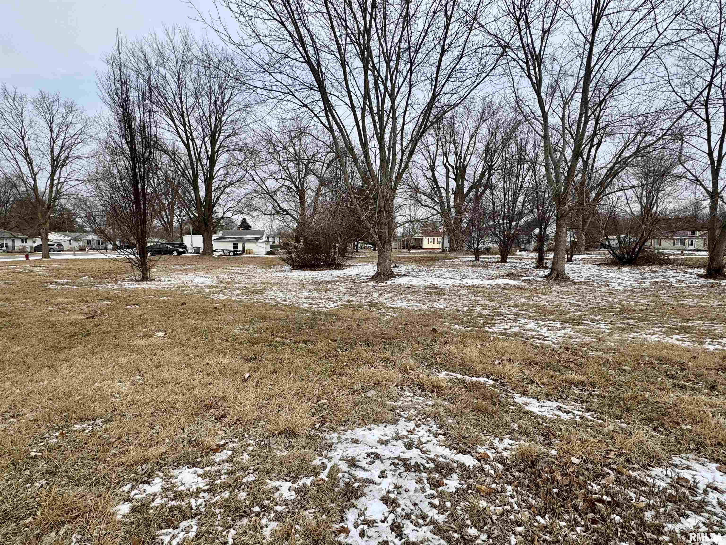 314 N Elizabeth Street, Colchester, Illinois image 35
