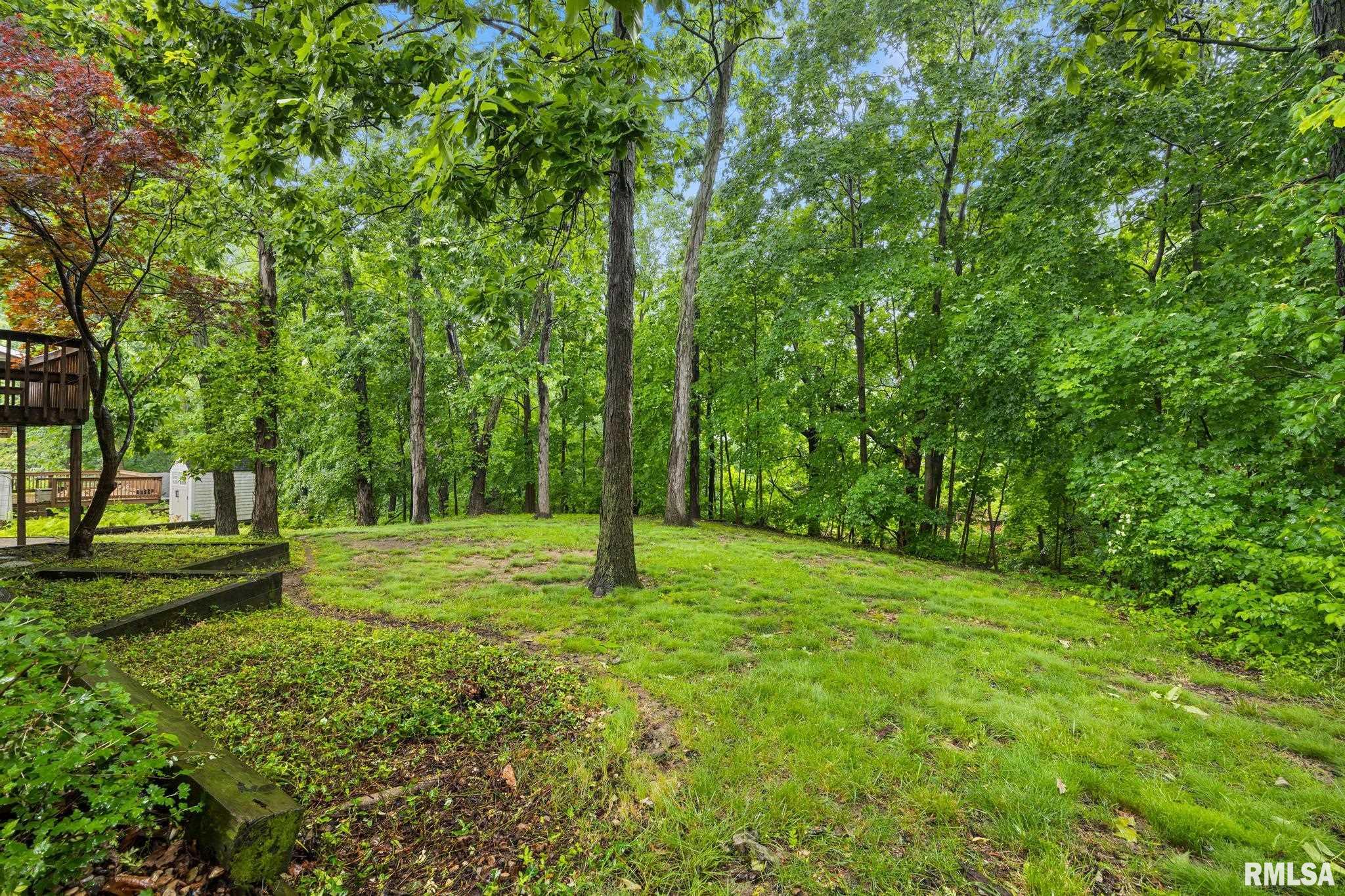 3407 W Capitol Drive, Peoria, Illinois image 33