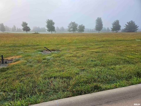 Vacant Land For Sale - 1015 Harmon Lane<br/> Metamora, IL 61548