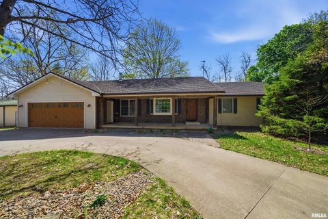 Photo of 658 COON CREEK Road, Metamora, IL 61548 (MLS # PA1265837)