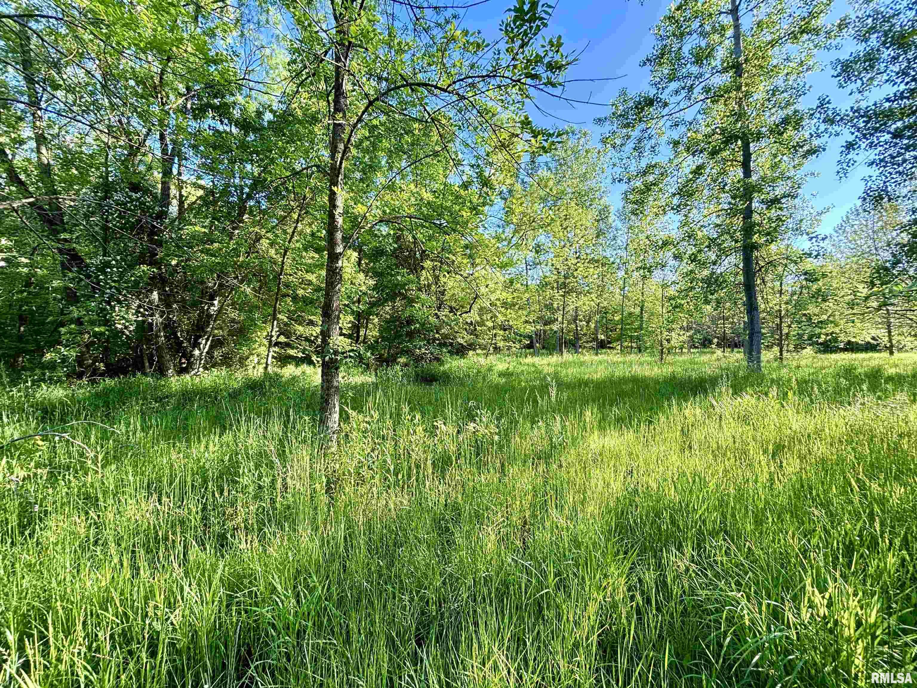 7544 Geranium Road, Oakdale, Illinois image 23