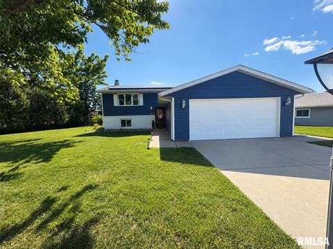 Homes For Sale - 401 N Ohio Avenue<br/> Tazewell County, Morton, IL 61550