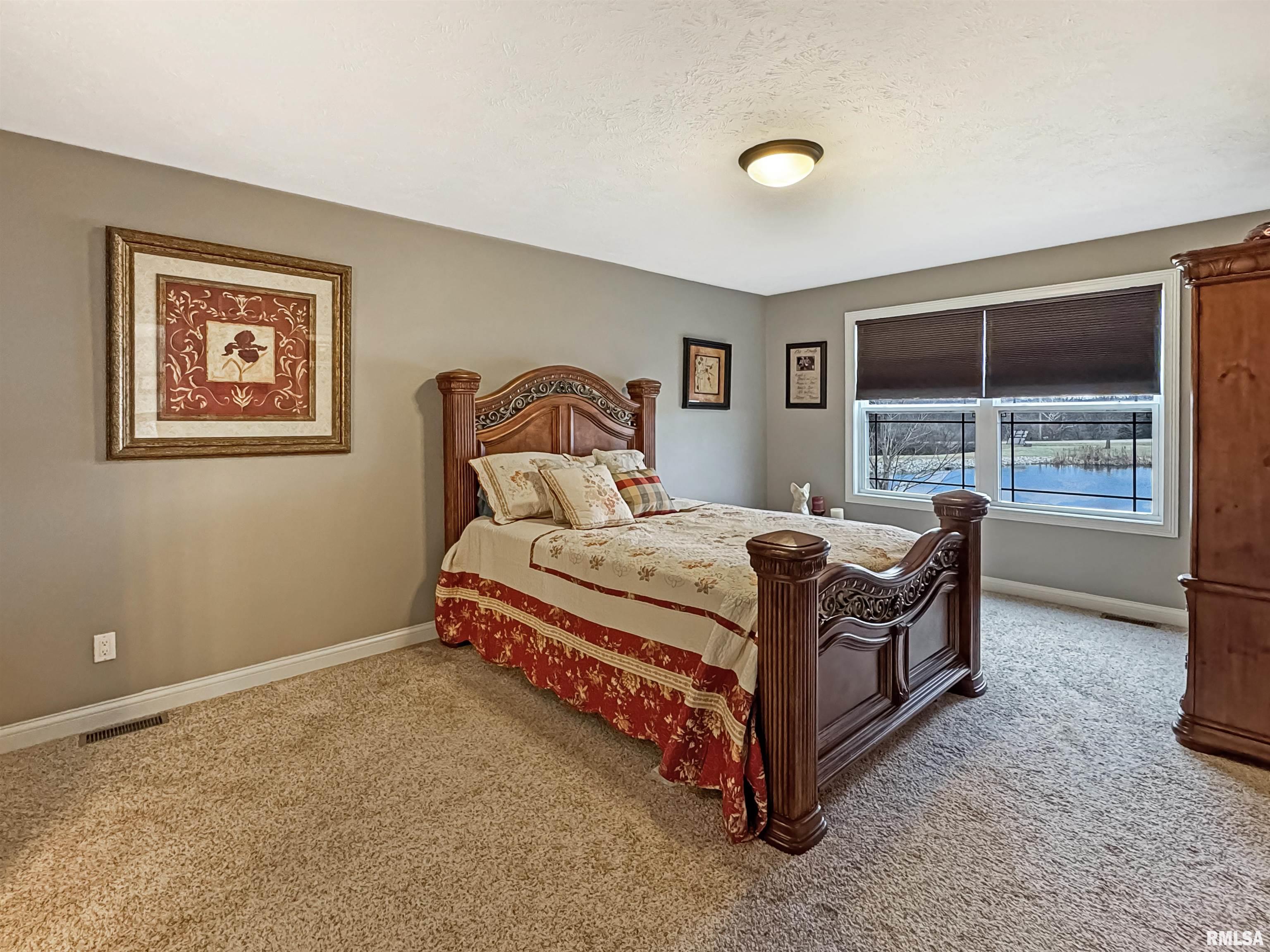 221 Lake Pointe Drive, Goodfield, Illinois image 22