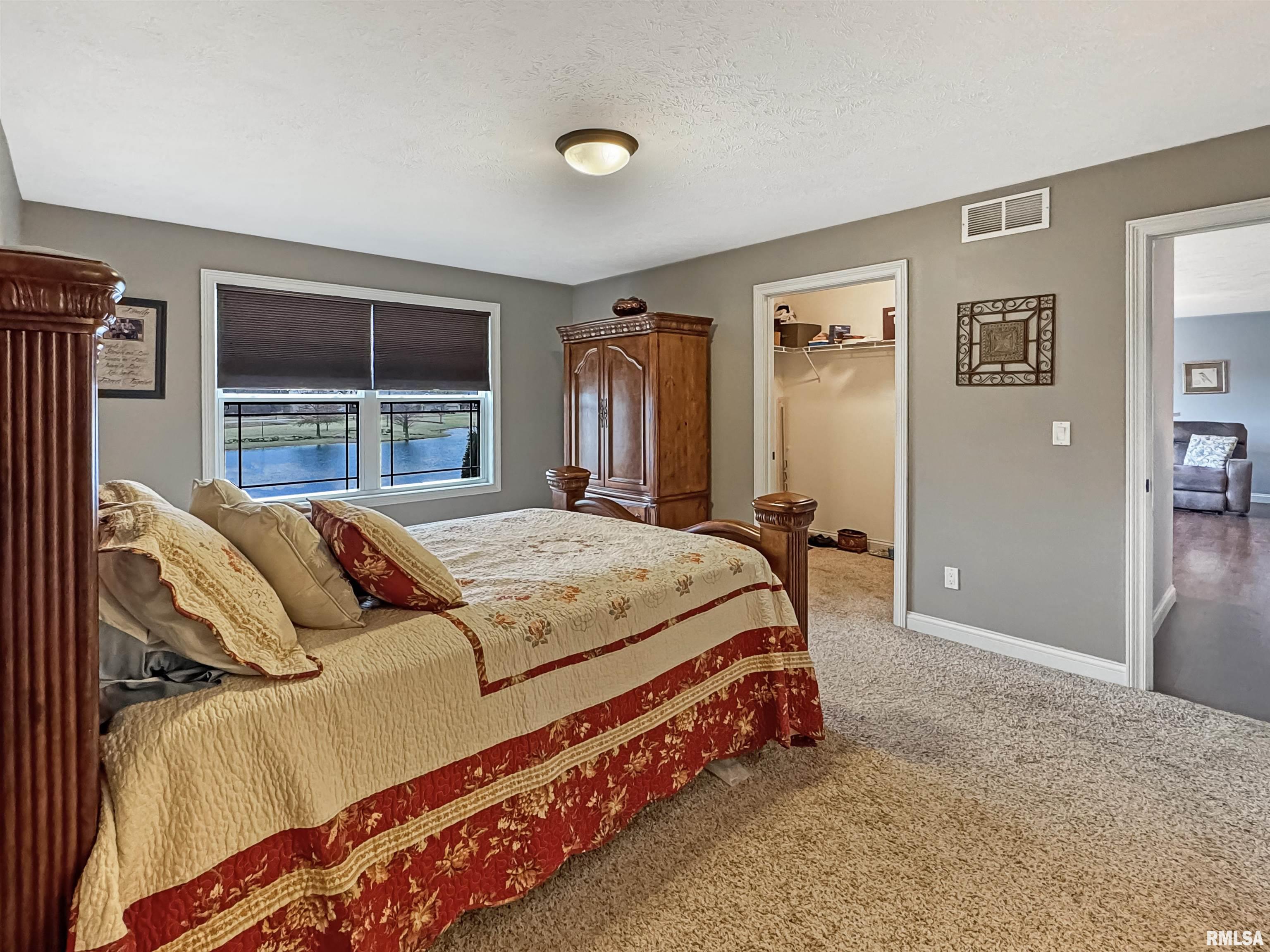 221 Lake Pointe Drive, Goodfield, Illinois image 25