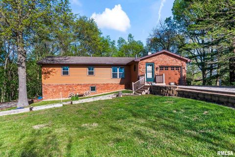 Photo of 5764 ALTMANS Road, Pleasant Plains, IL 62677 (MLS # CA1043271)