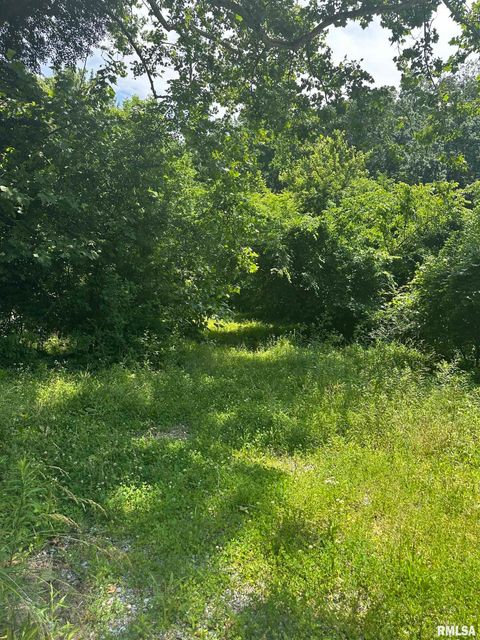Vacant Land For Sale - 585 Berryville Road<br/> Jonesboro, IL 62952