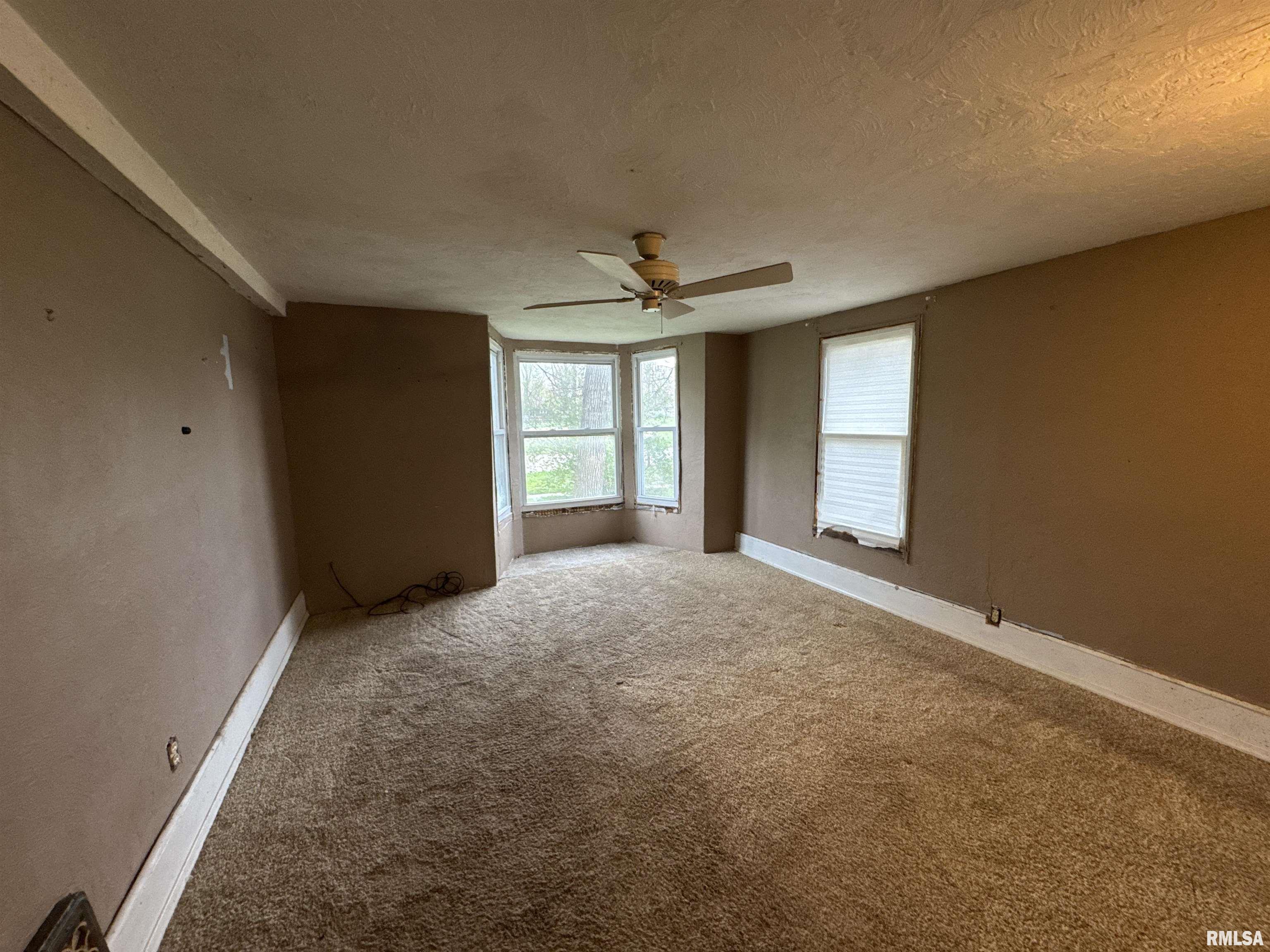 301 S Harris Street, Tremont, Illinois image 11
