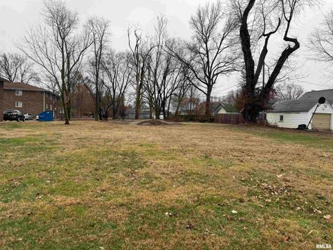 Vacant Land For Sale - 1236 W Monroe Street<br/> Springfield, IL 62704