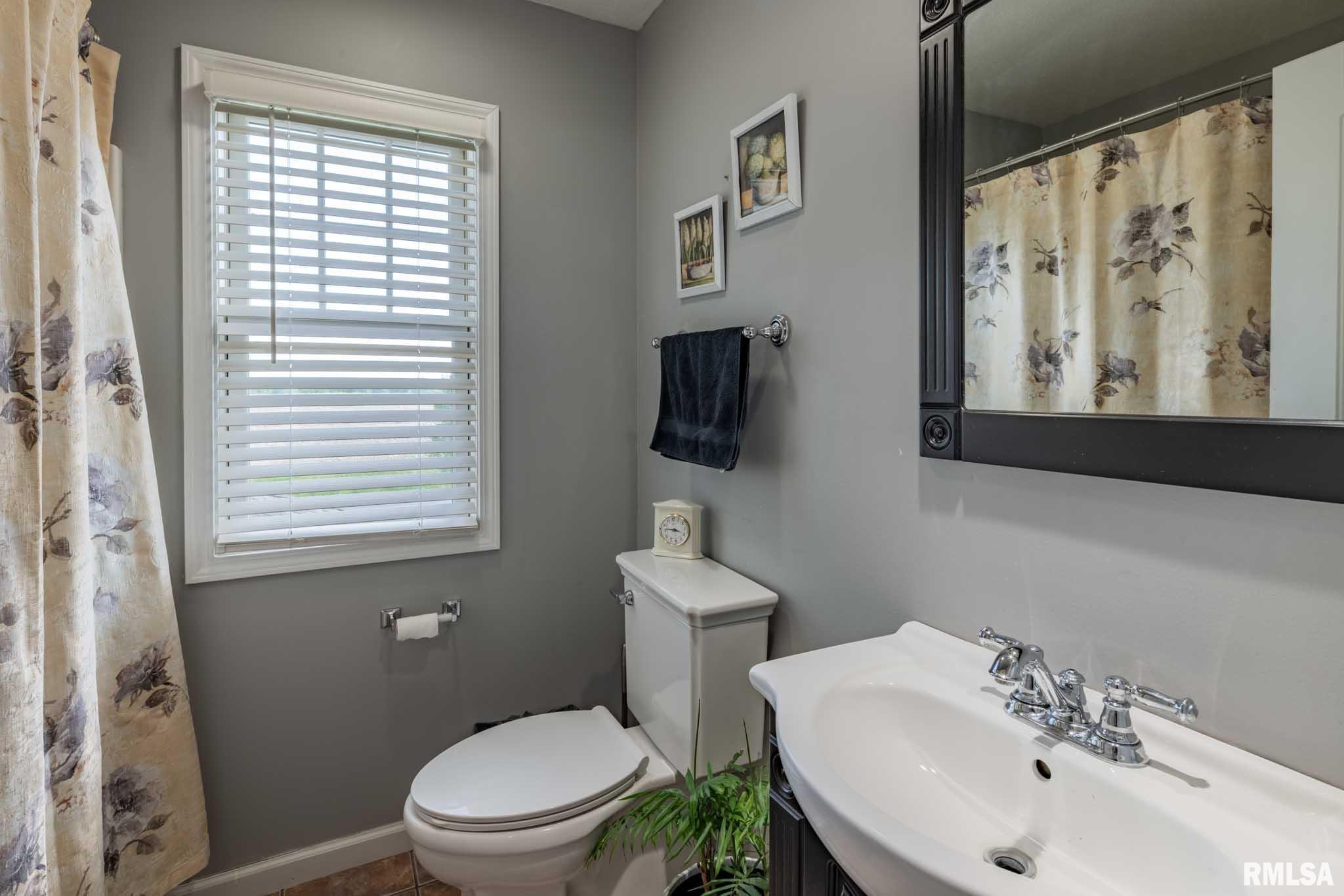 3160 Sycamore Road, Carterville, Illinois image 34