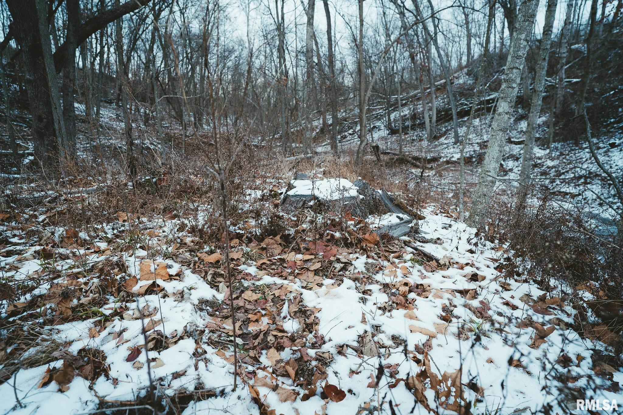 9669 Thunderhead Road, Illinois City, Illinois image 9