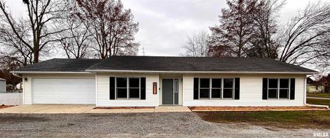 Homes For Sale - 210 N State Street<br/> Christopher, IL 62822