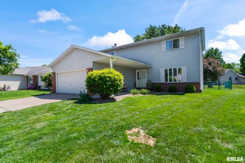 Homes For Sale - 29 Hollybrook Drive<br/> Sangamon County, Springfield, IL 62702