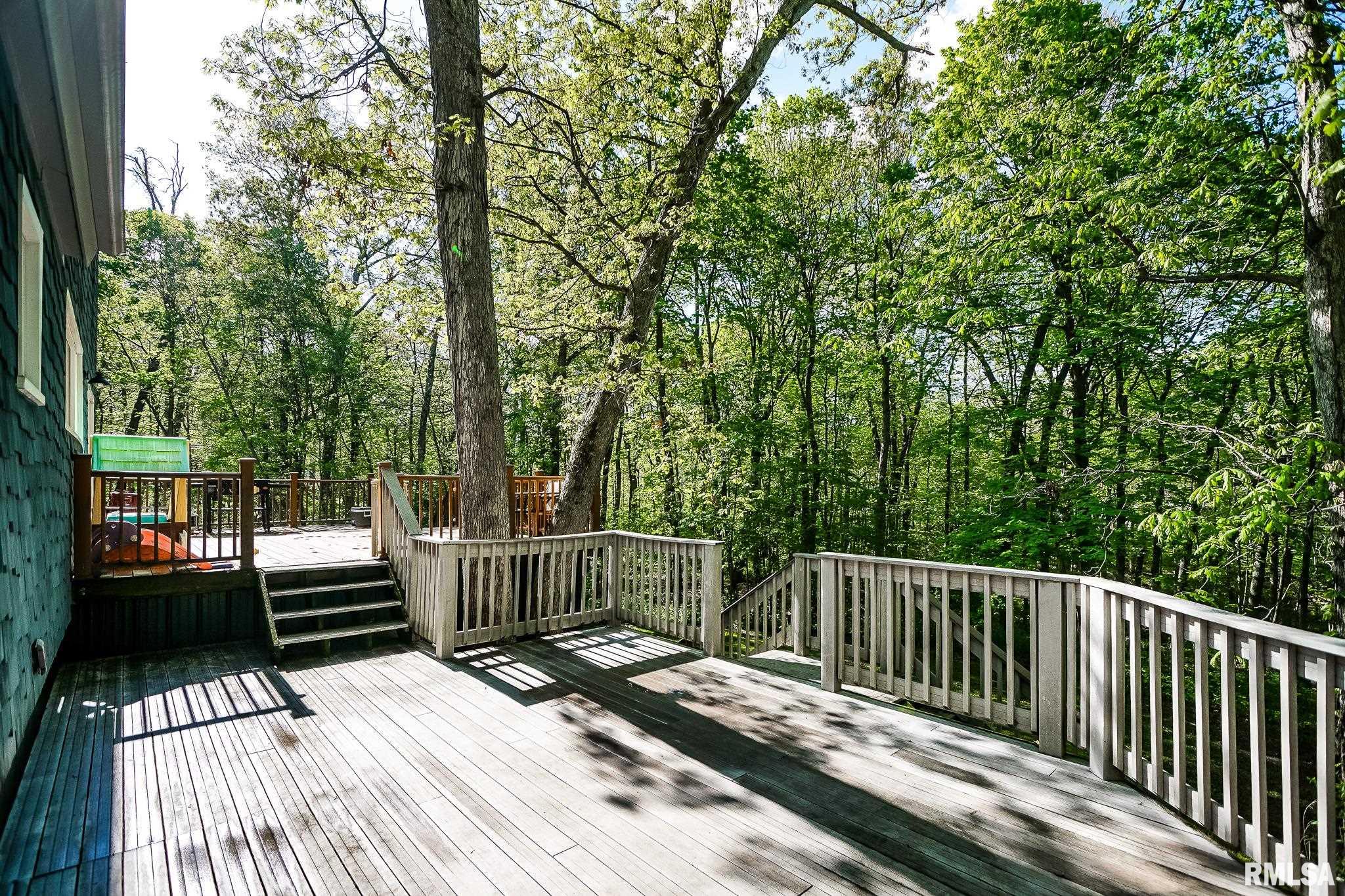 725 W Horseshoe Trail, Edelstein, Illinois image 40