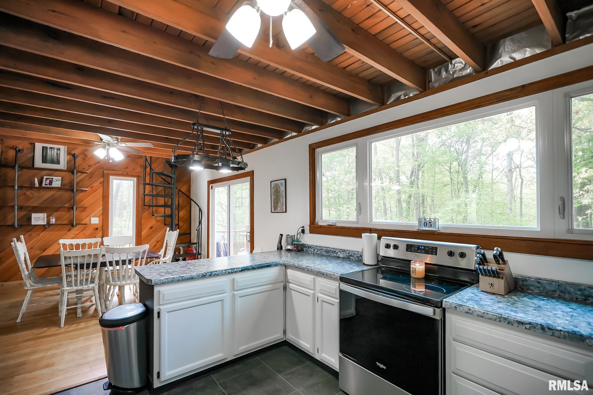 725 W Horseshoe Trail, Edelstein, Illinois image 15