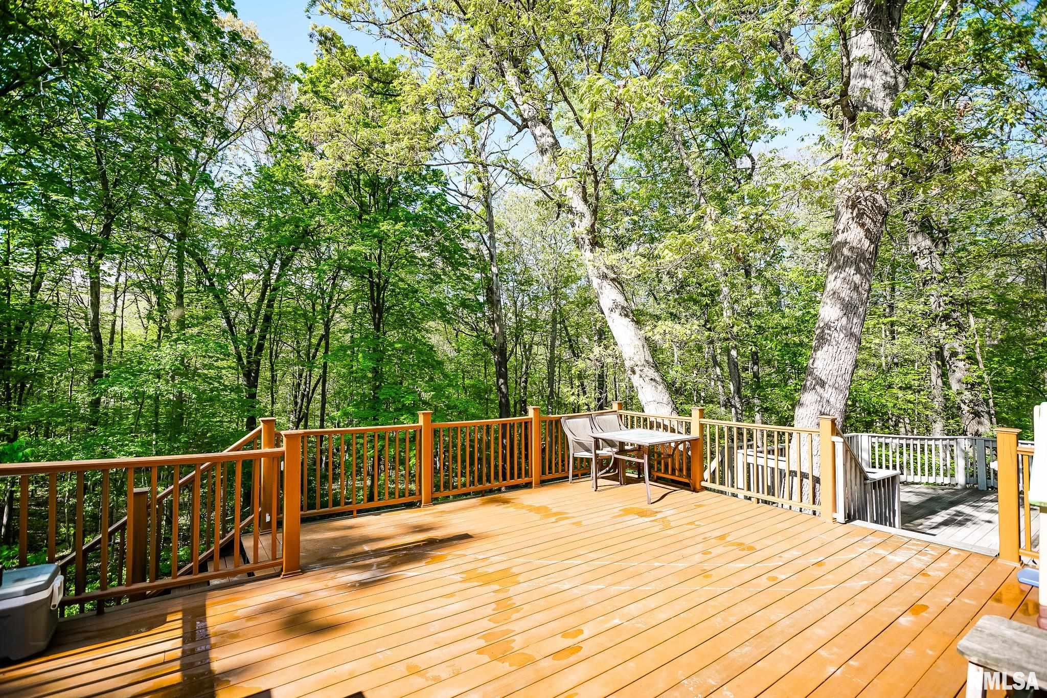 725 W Horseshoe Trail, Edelstein, Illinois image 36
