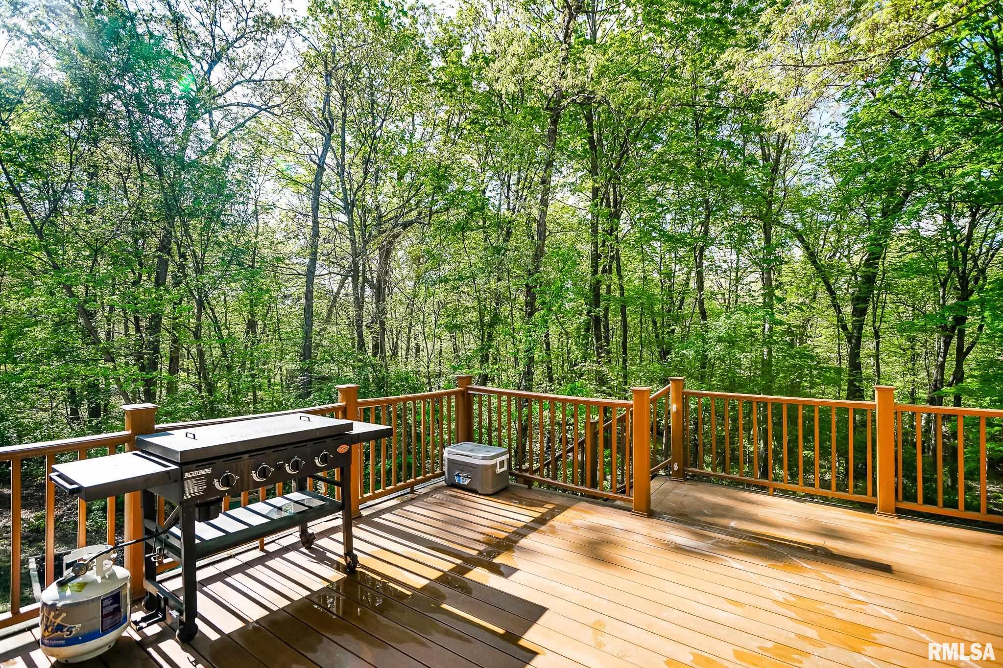 725 W Horseshoe Trail, Edelstein, Illinois image 37