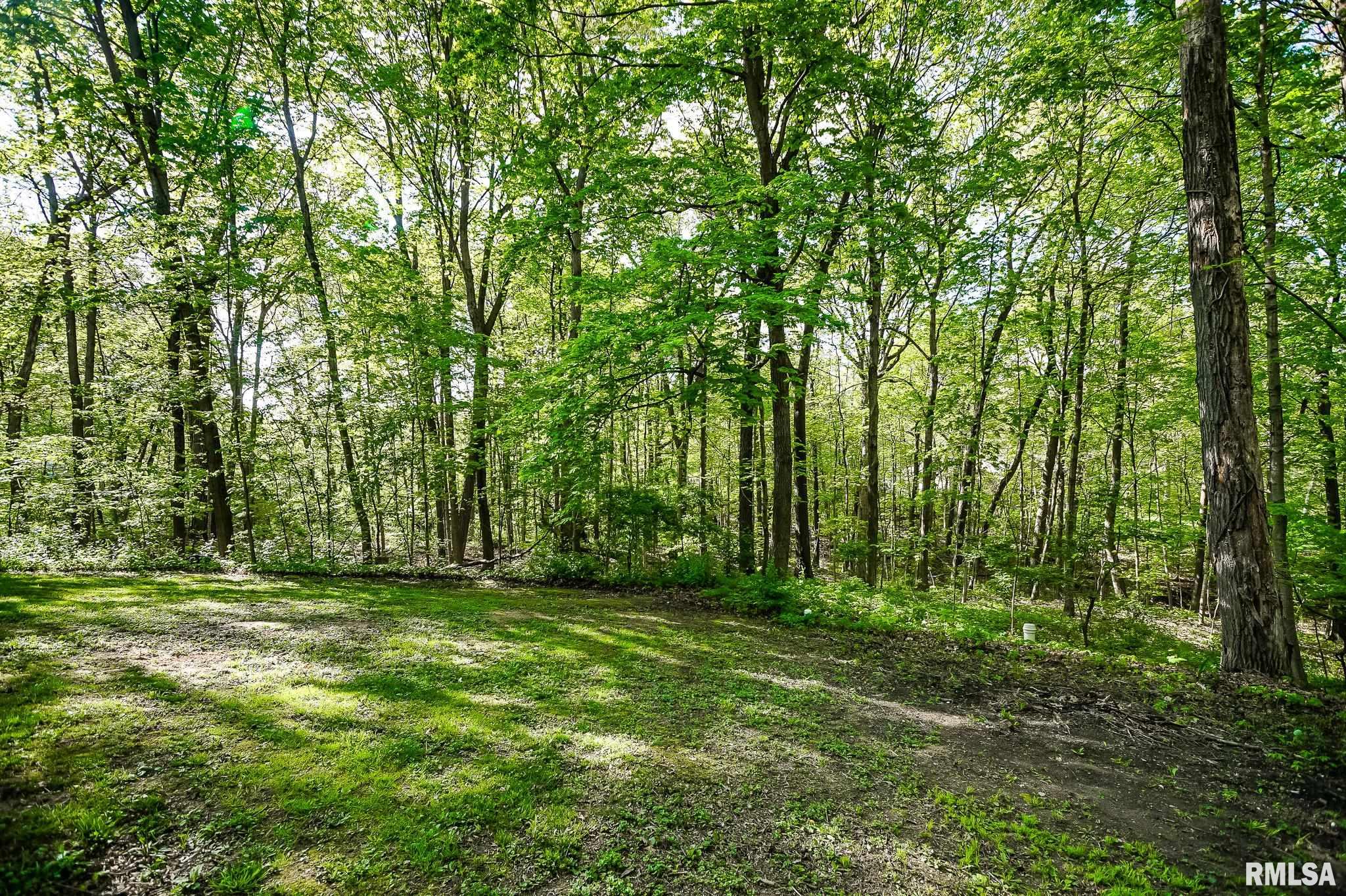 725 W Horseshoe Trail, Edelstein, Illinois image 42