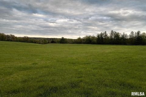 Vacant Land For Sale - 1-8 Lot<br/> Elkville, IL 62932