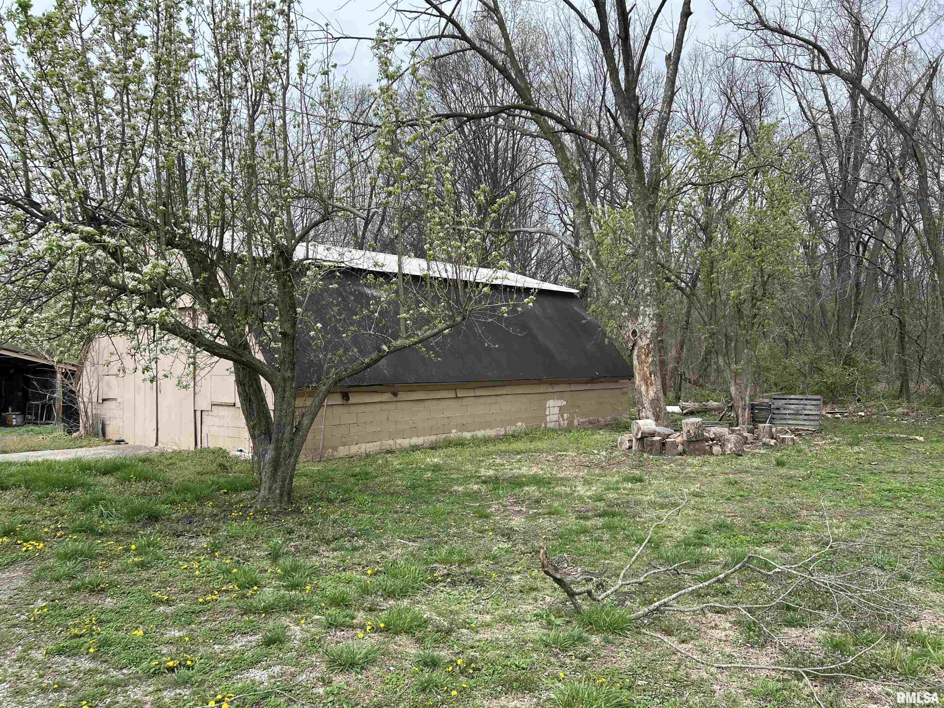 485 Martie Road, Elkville, Illinois image 35