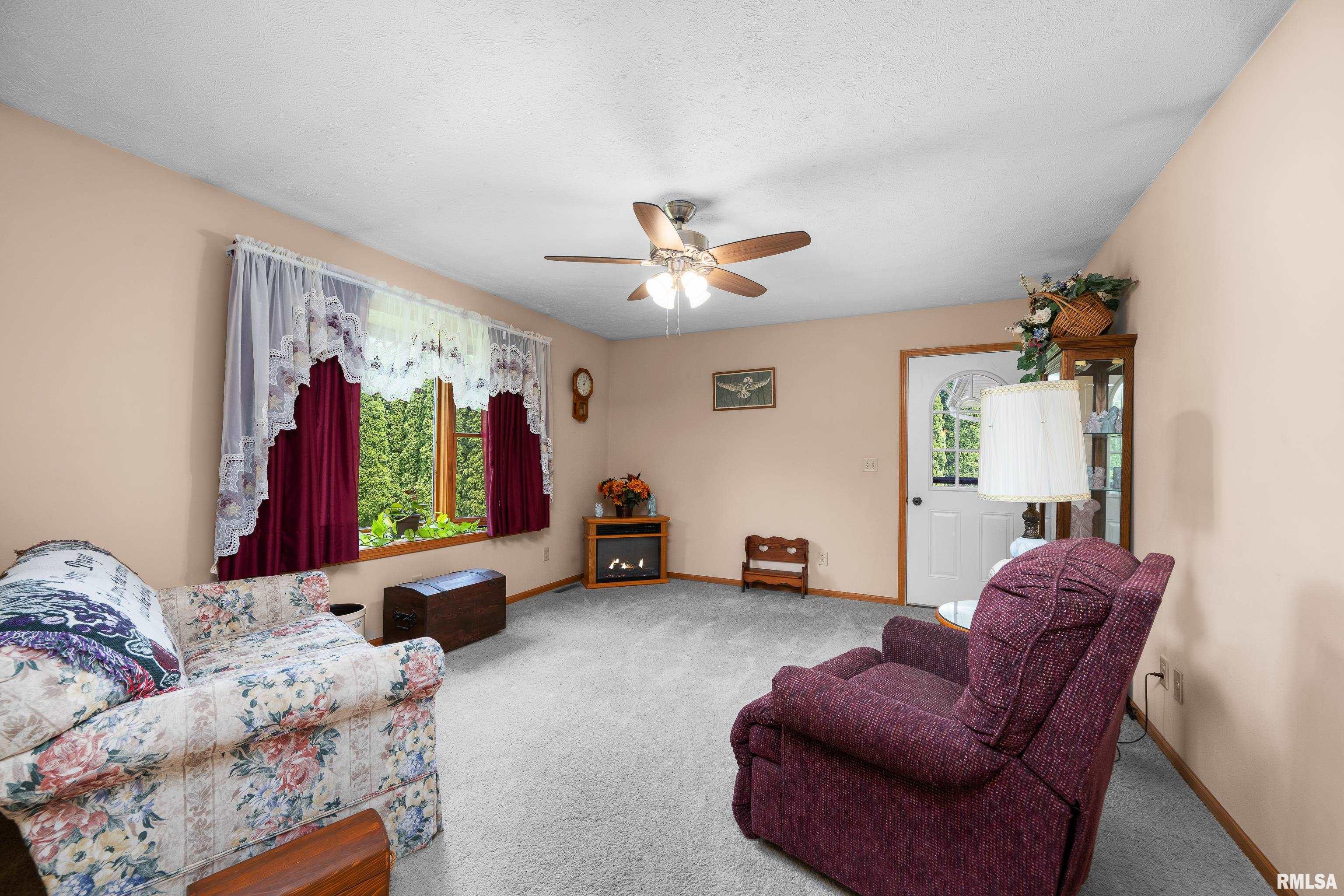 315 W Lincoln Street, Reynolds, Illinois image 18