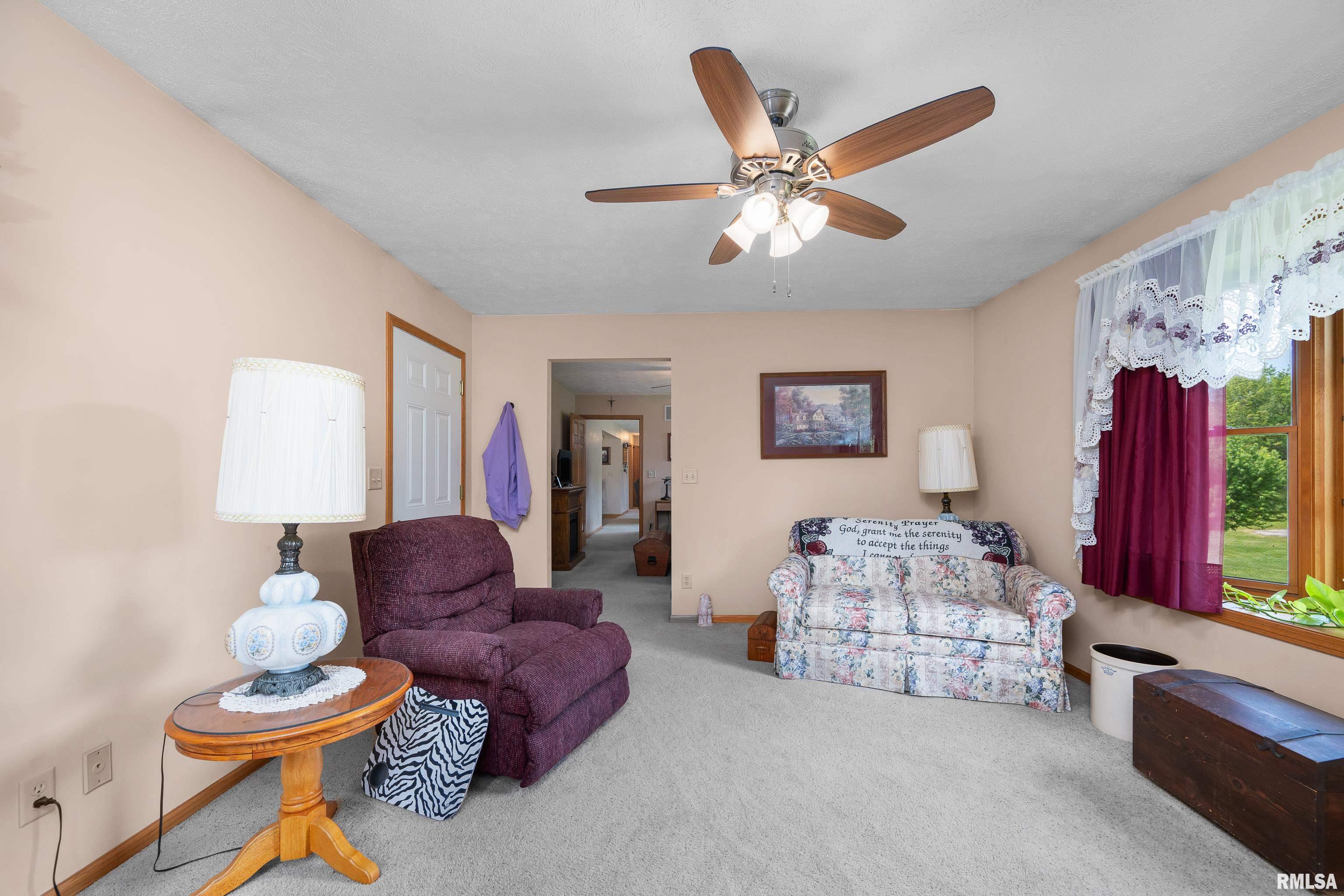 315 W Lincoln Street, Reynolds, Illinois image 19