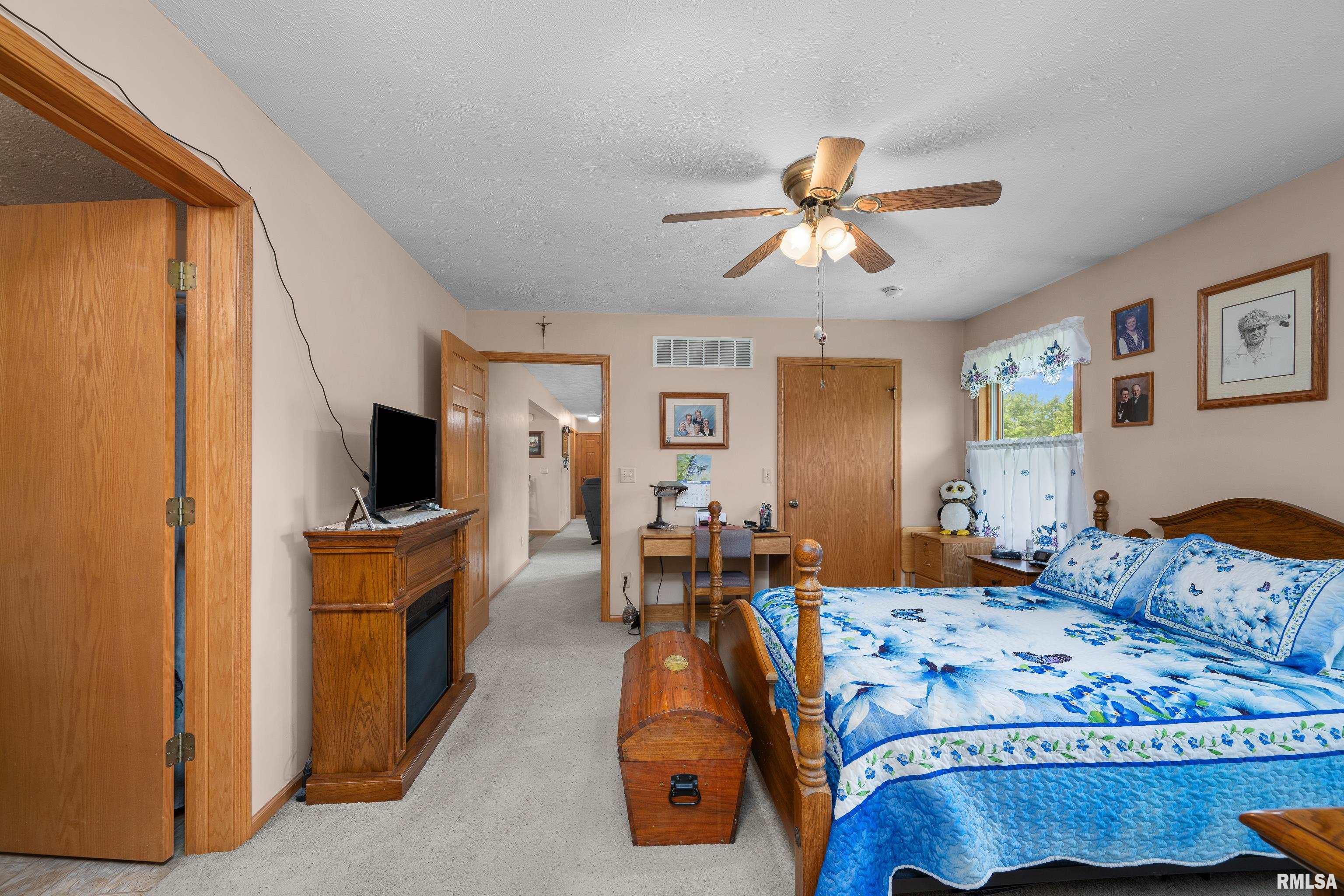315 W Lincoln Street, Reynolds, Illinois image 17