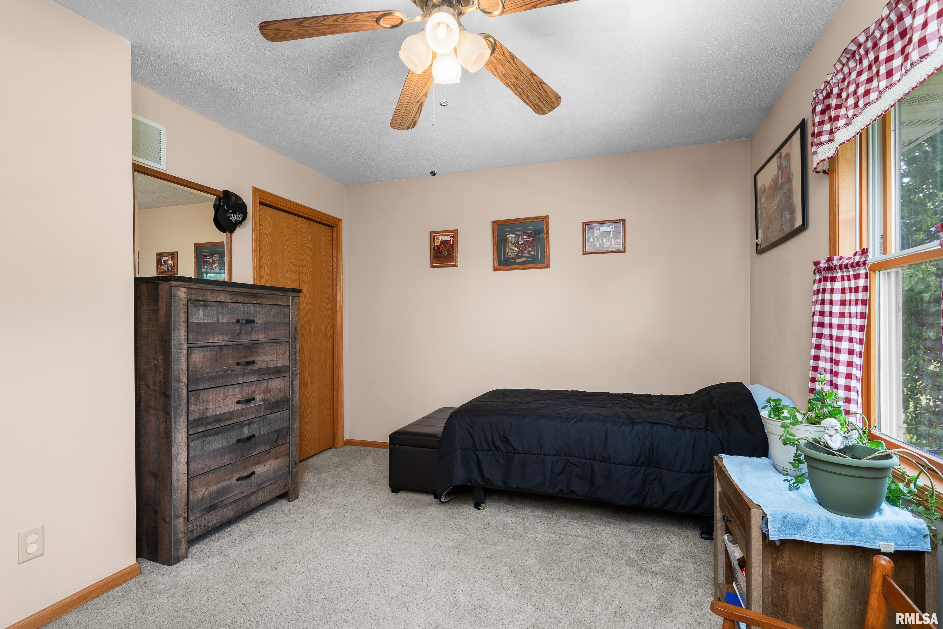 315 W Lincoln Street, Reynolds, Illinois image 21
