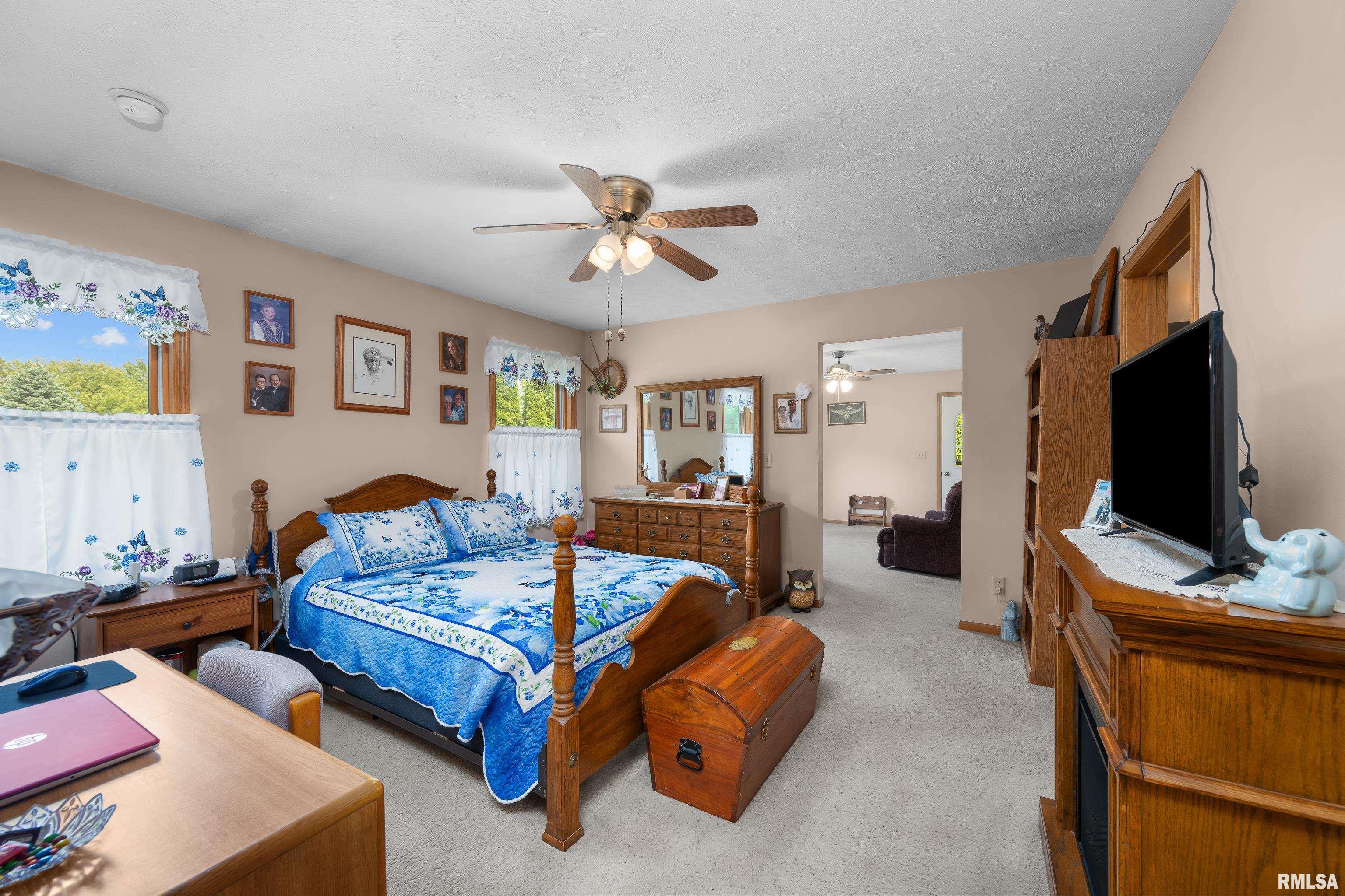 315 W Lincoln Street, Reynolds, Illinois image 15