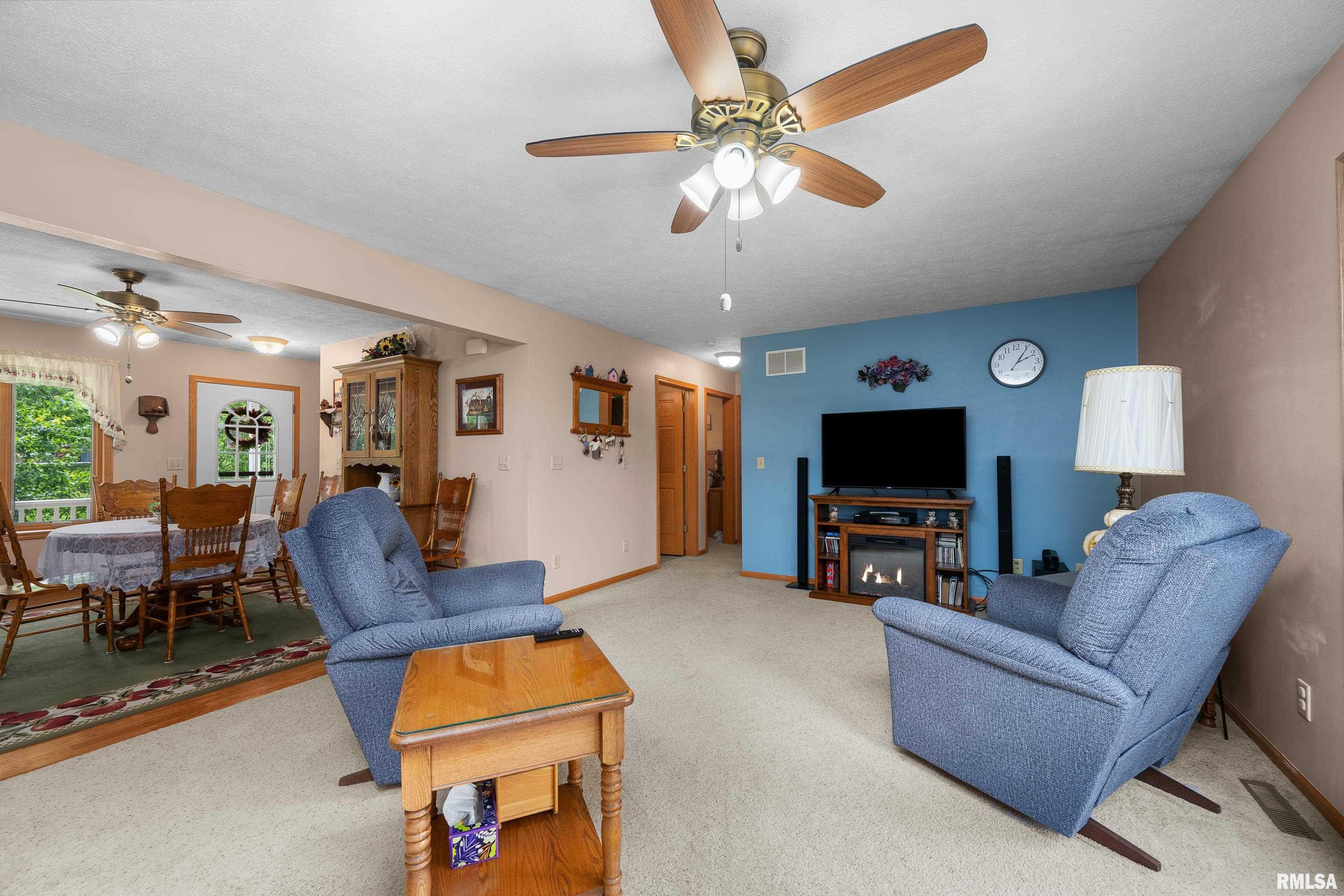 315 W Lincoln Street, Reynolds, Illinois image 6