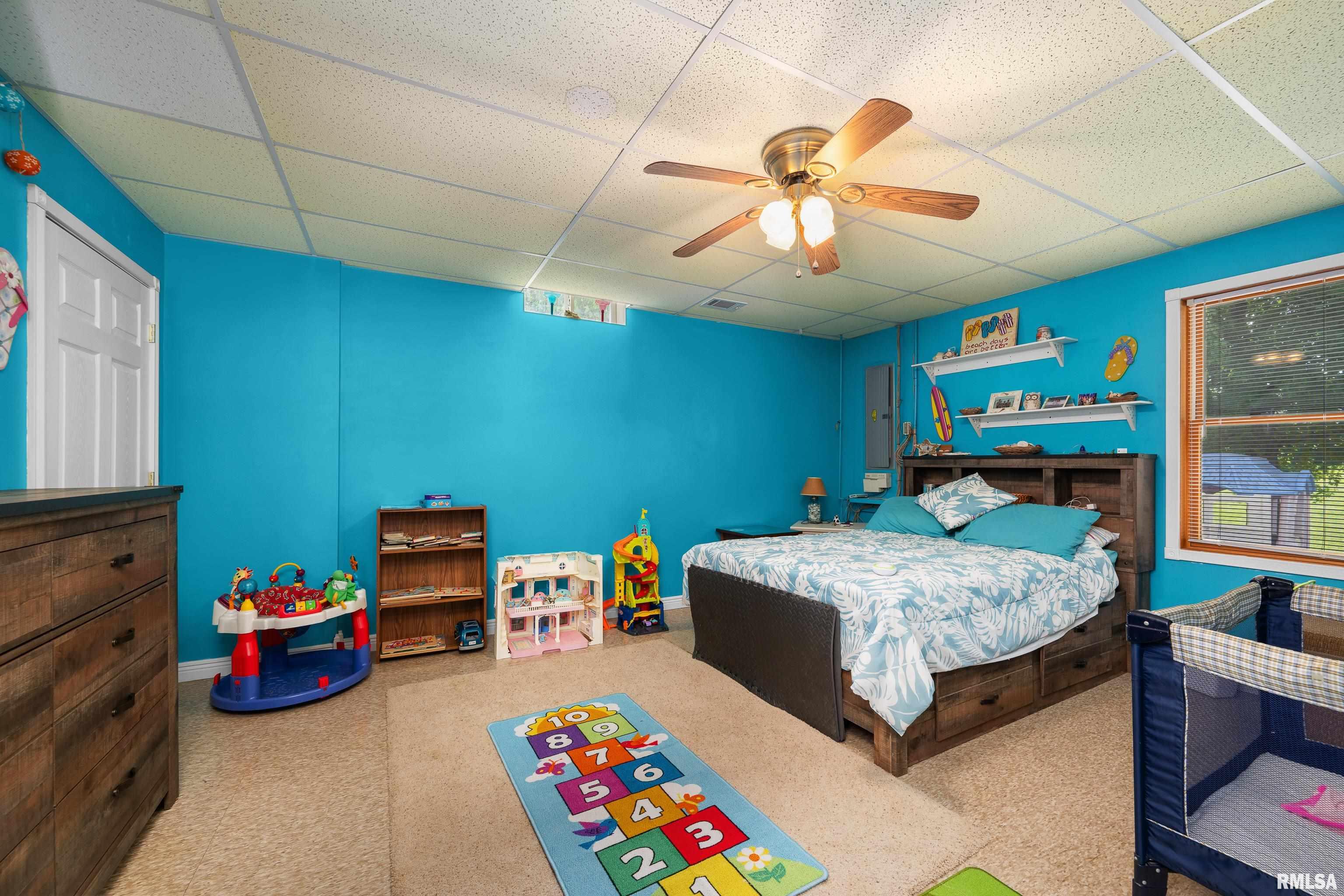 315 W Lincoln Street, Reynolds, Illinois image 38