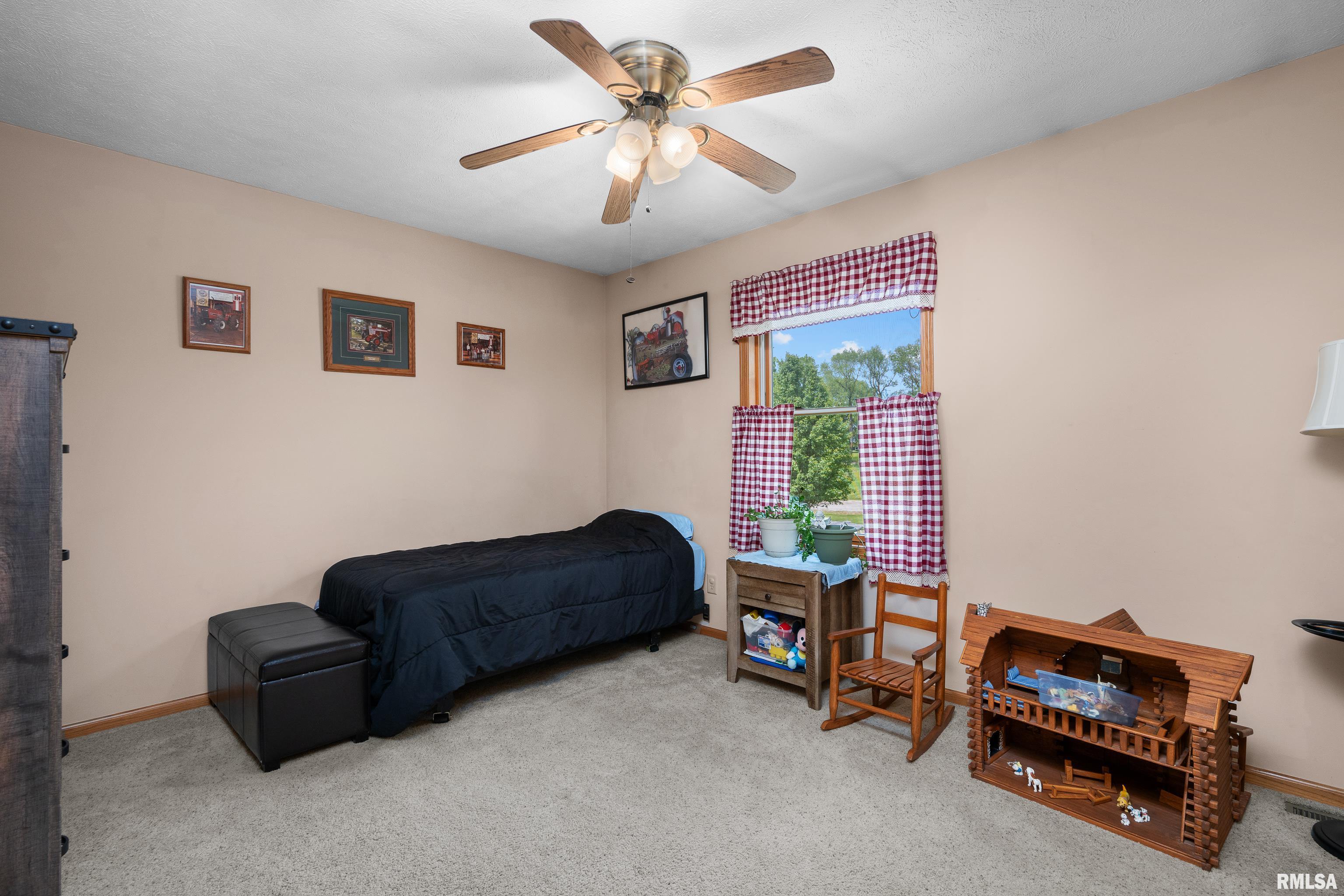 315 W Lincoln Street, Reynolds, Illinois image 20