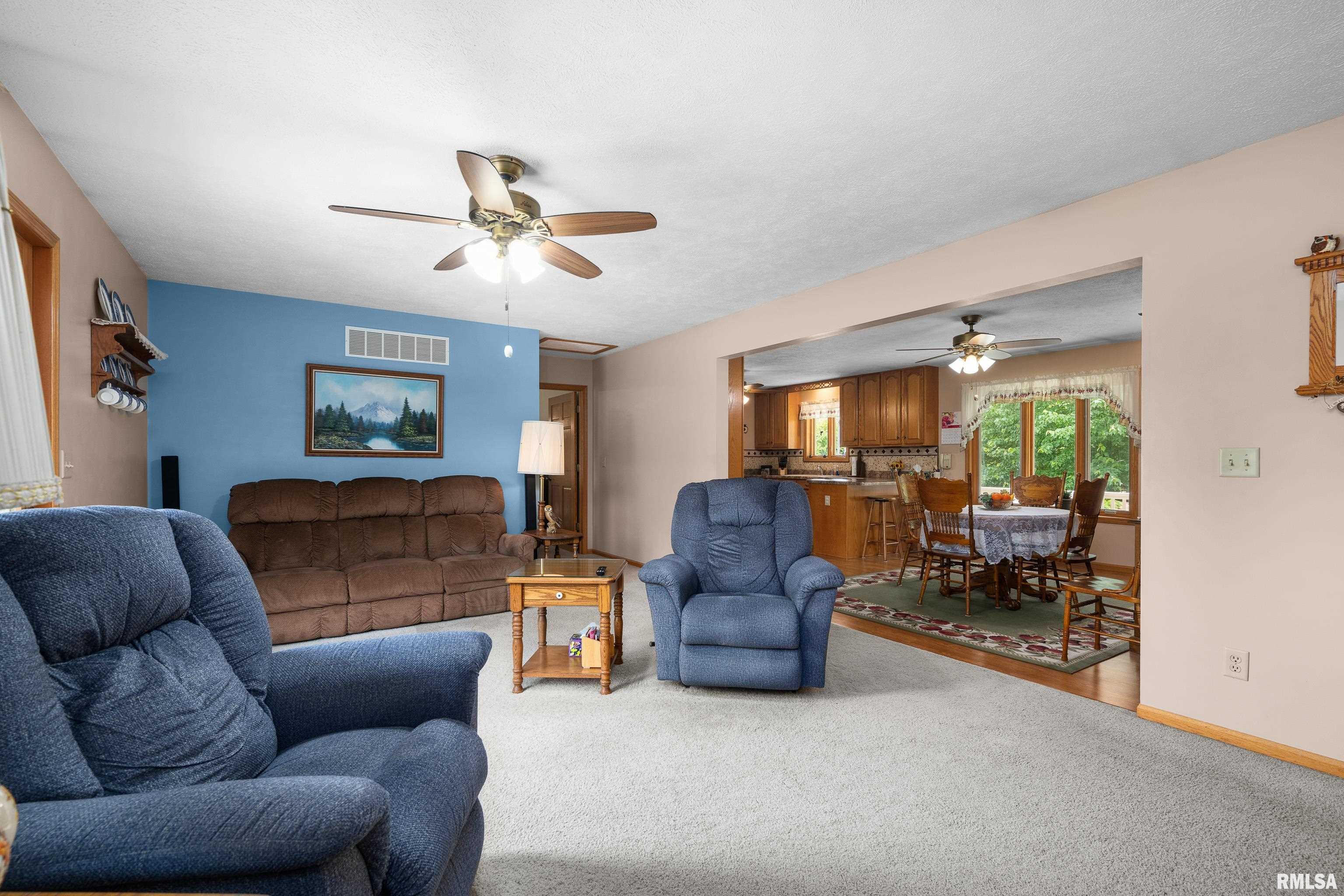 315 W Lincoln Street, Reynolds, Illinois image 4