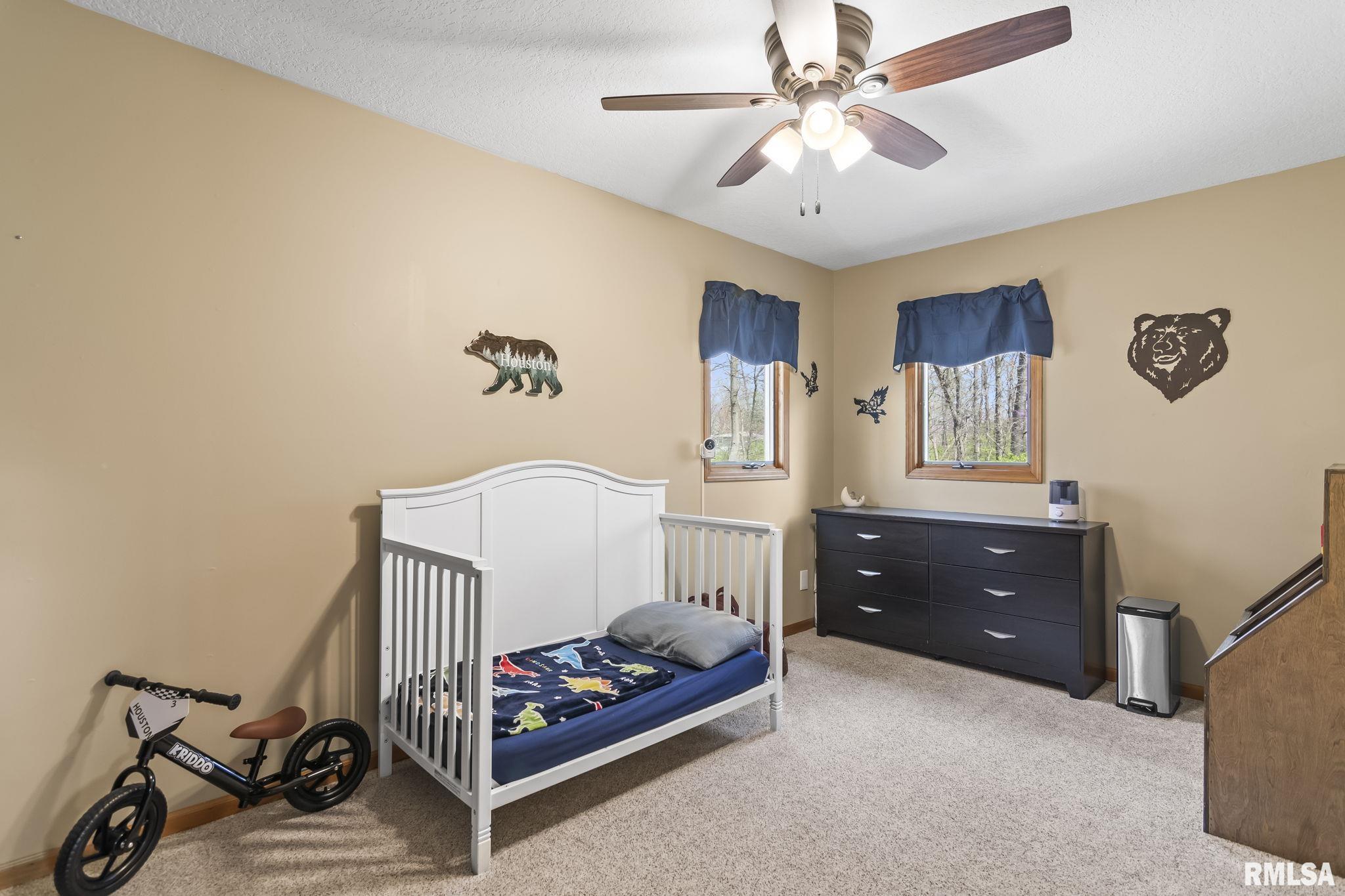 3405 Fairlane Boulevard, Taylorville, Illinois image 24