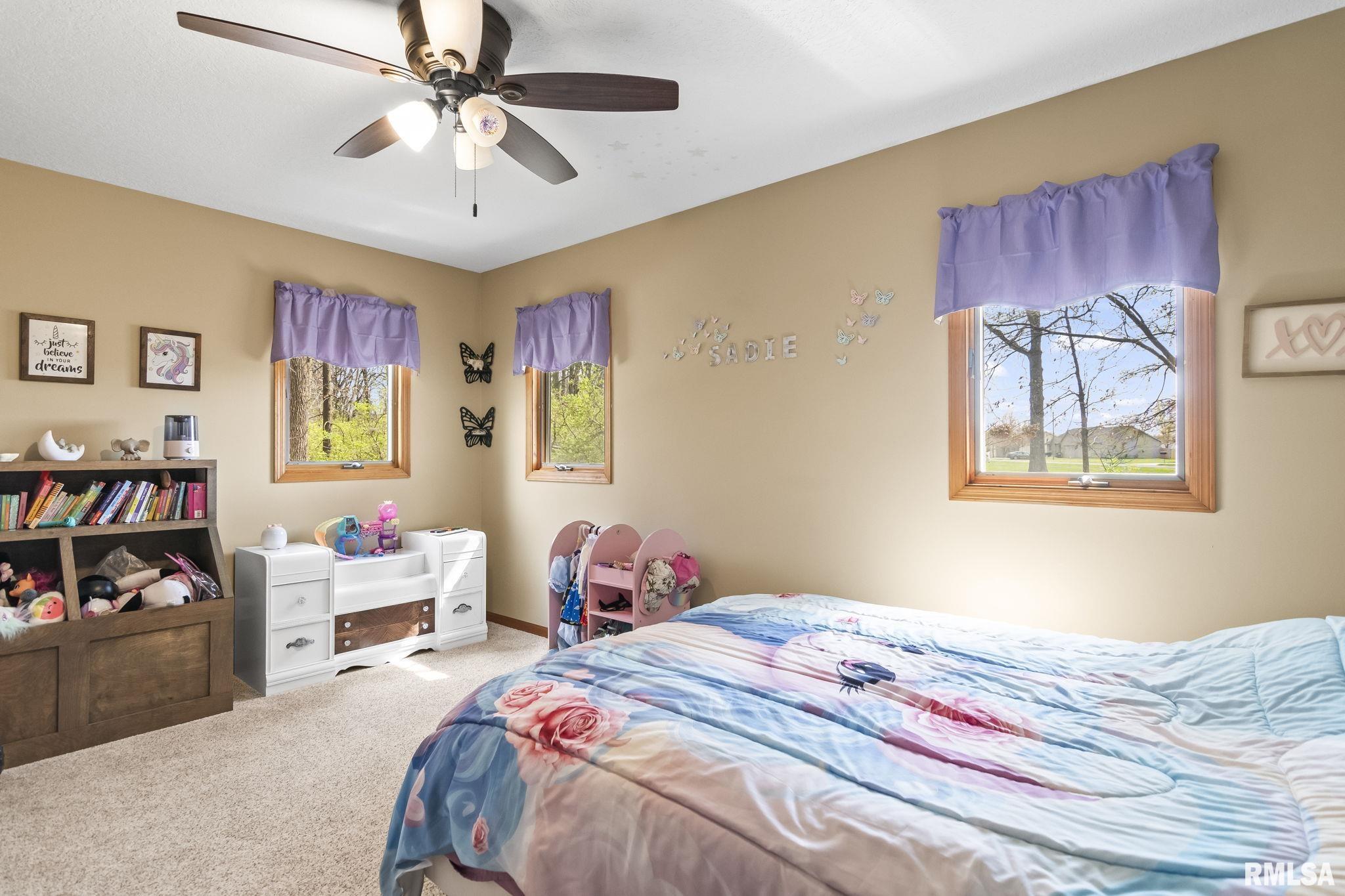3405 Fairlane Boulevard, Taylorville, Illinois image 26