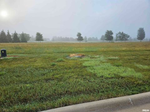 Vacant Land For Sale - 805 Harmon Lane<br/> Metamora, IL 61548