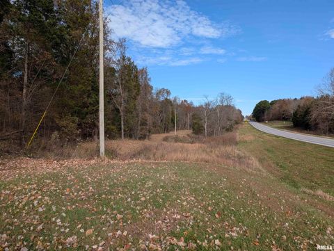 Vacant Land For Sale - 0000 State Highway 145 N Highway<br/> Stonefort, IL 62987