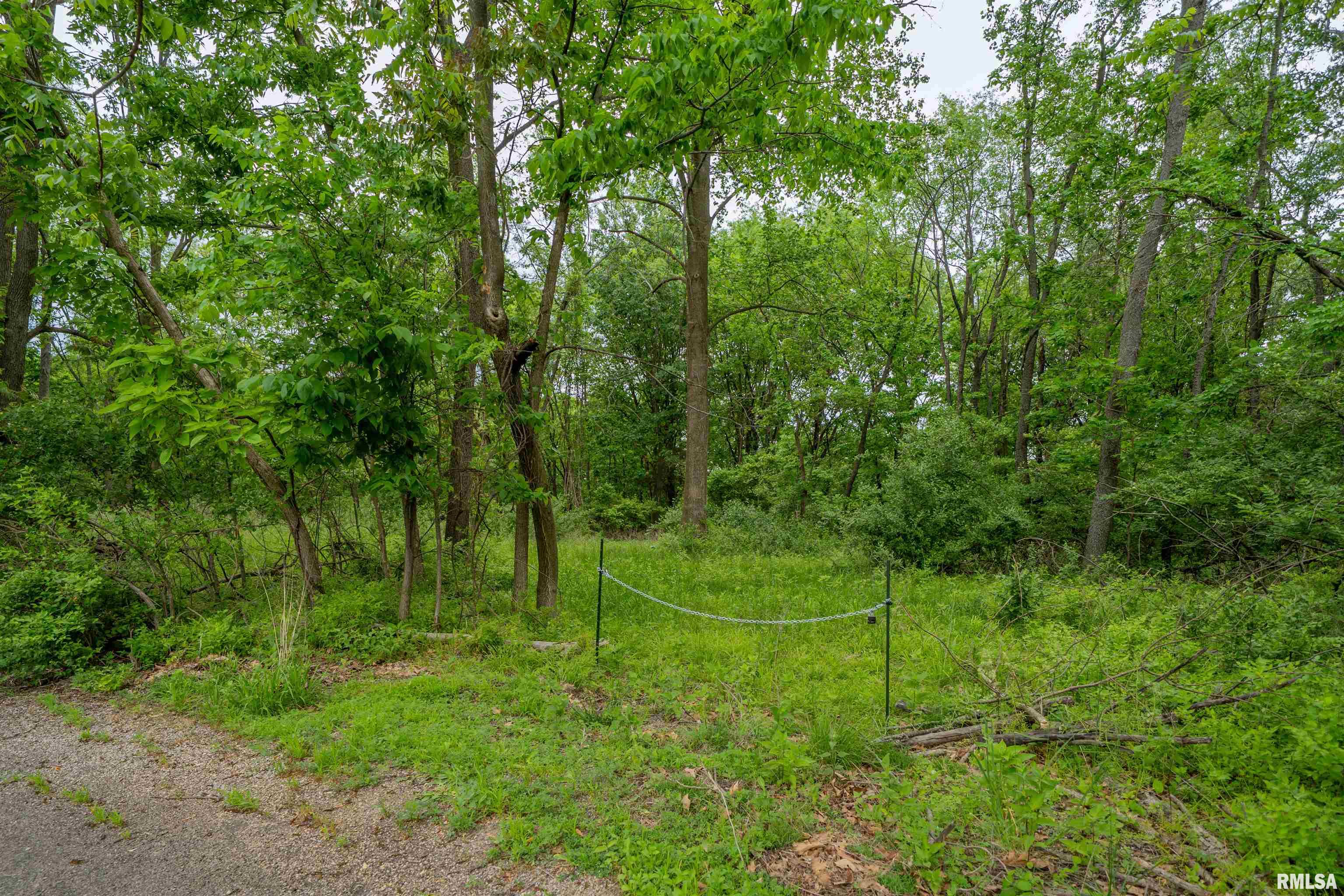 N Stewart Street, Creve Coeur, Illinois image 4