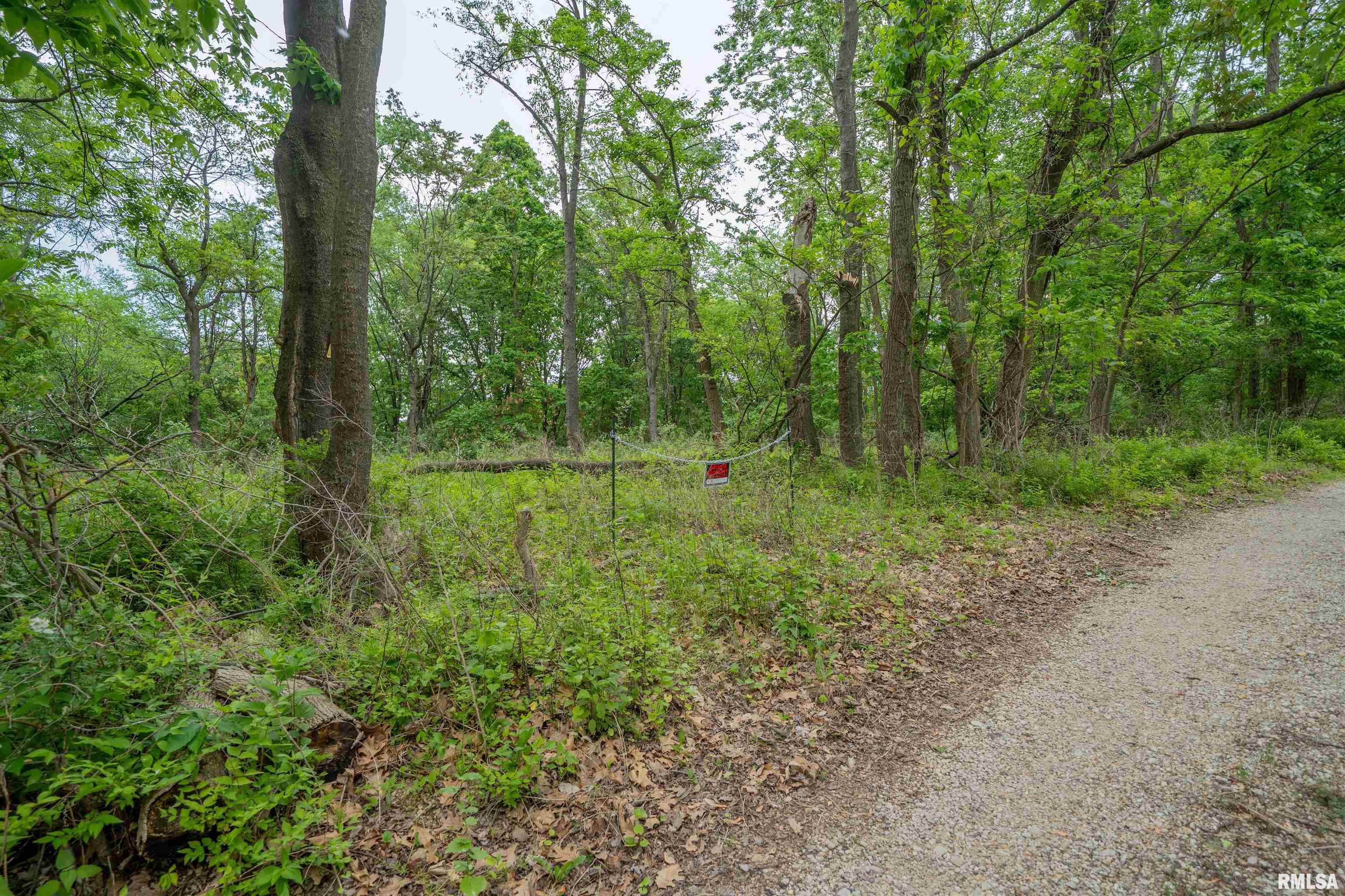 N Stewart Street, Creve Coeur, Illinois image 5