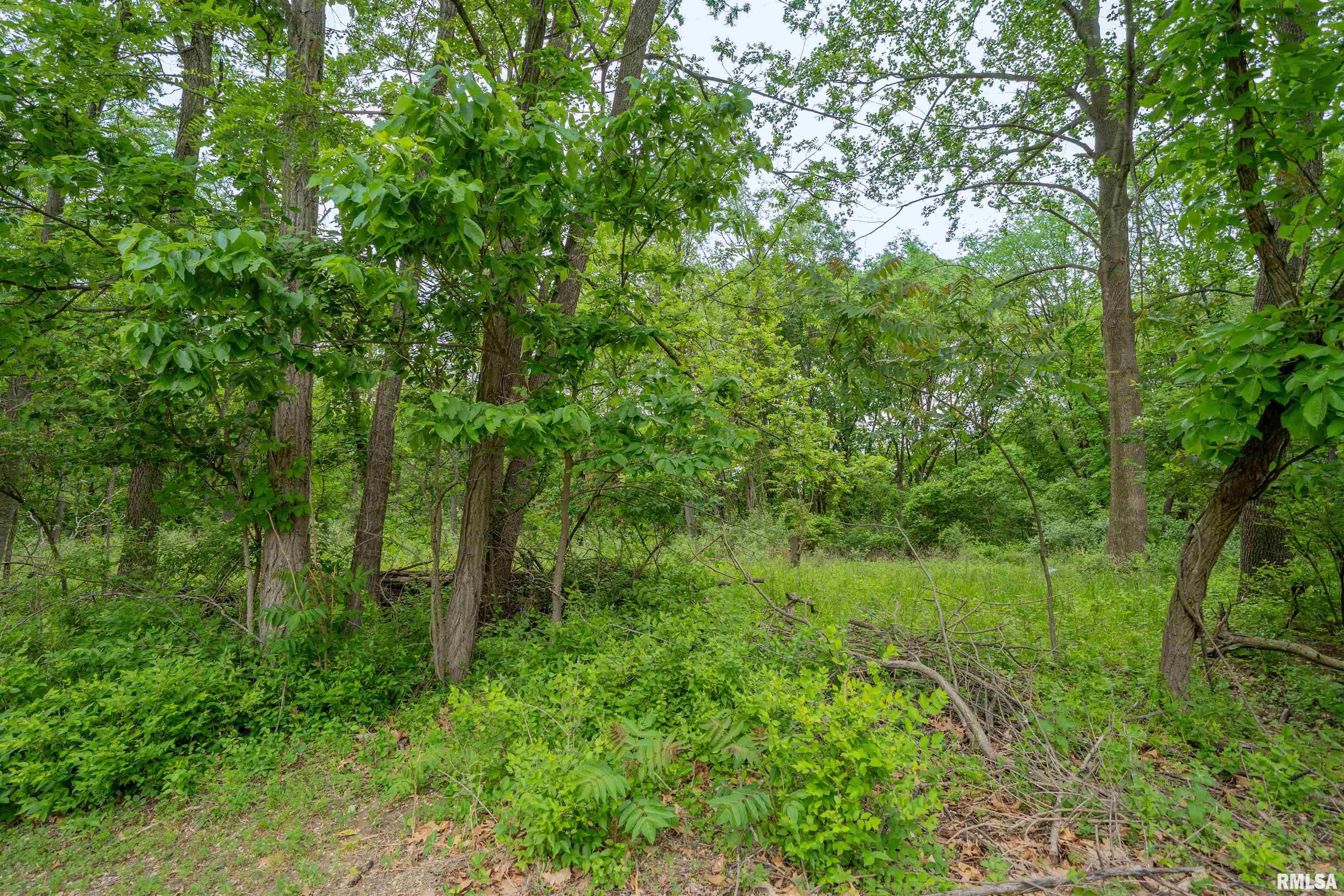 N Stewart Street, Creve Coeur, Illinois image 3