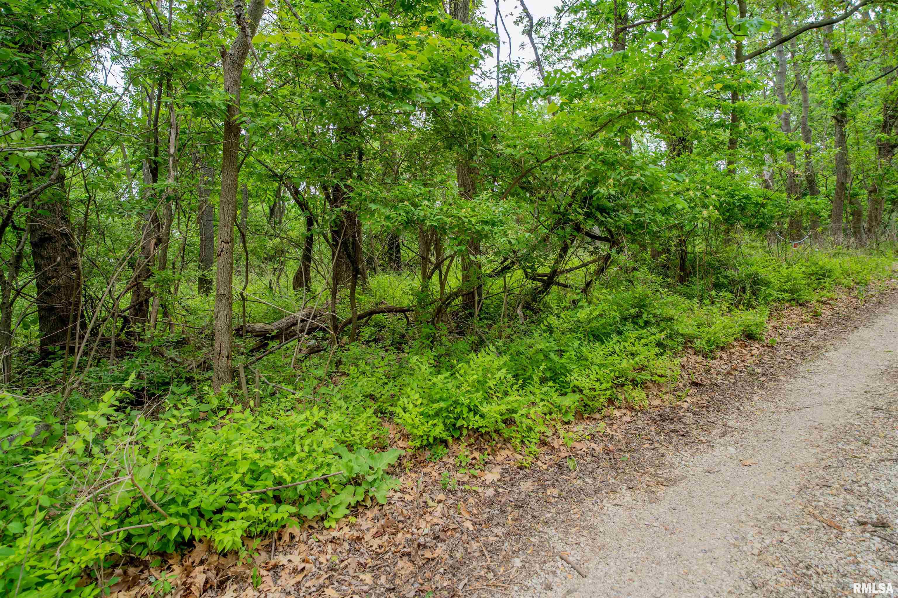 N Stewart Street, Creve Coeur, Illinois image 6
