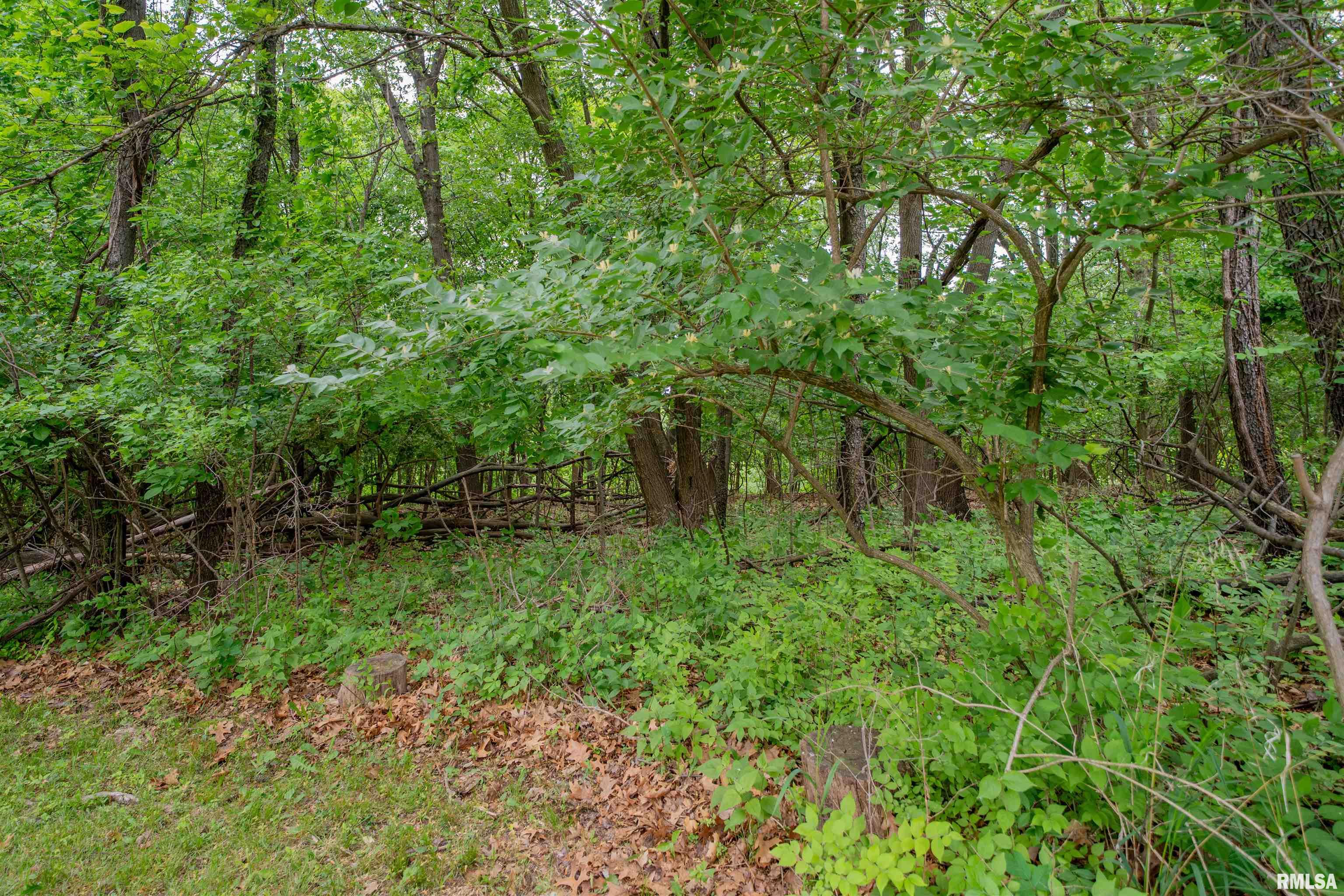 N Stewart Street, Creve Coeur, Illinois image 13